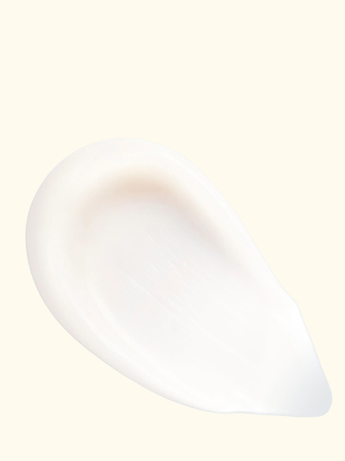 Phyto-Teint Primer Matte, 30ml