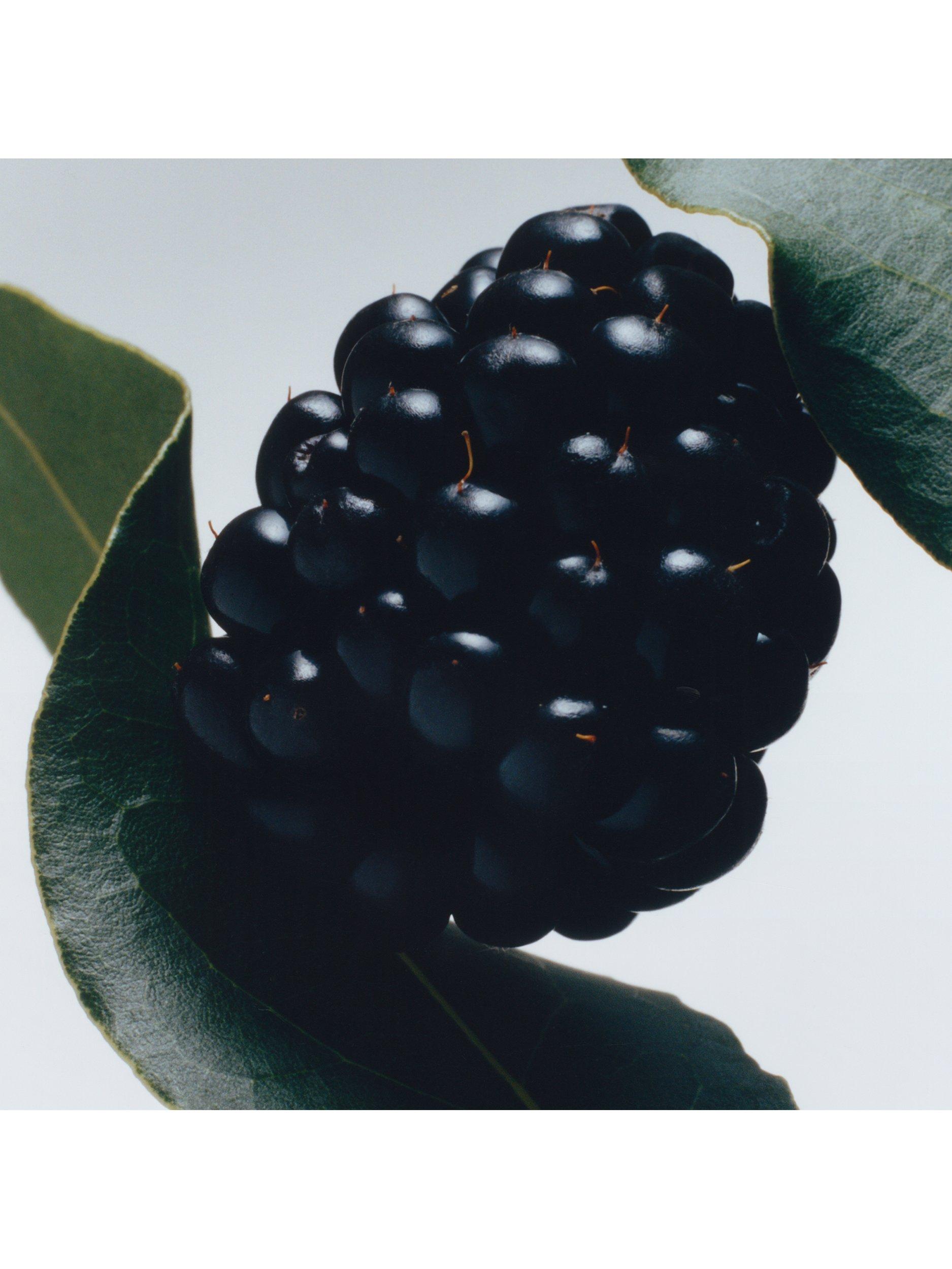 Blackberry & Bay Body Crème, 175ml
