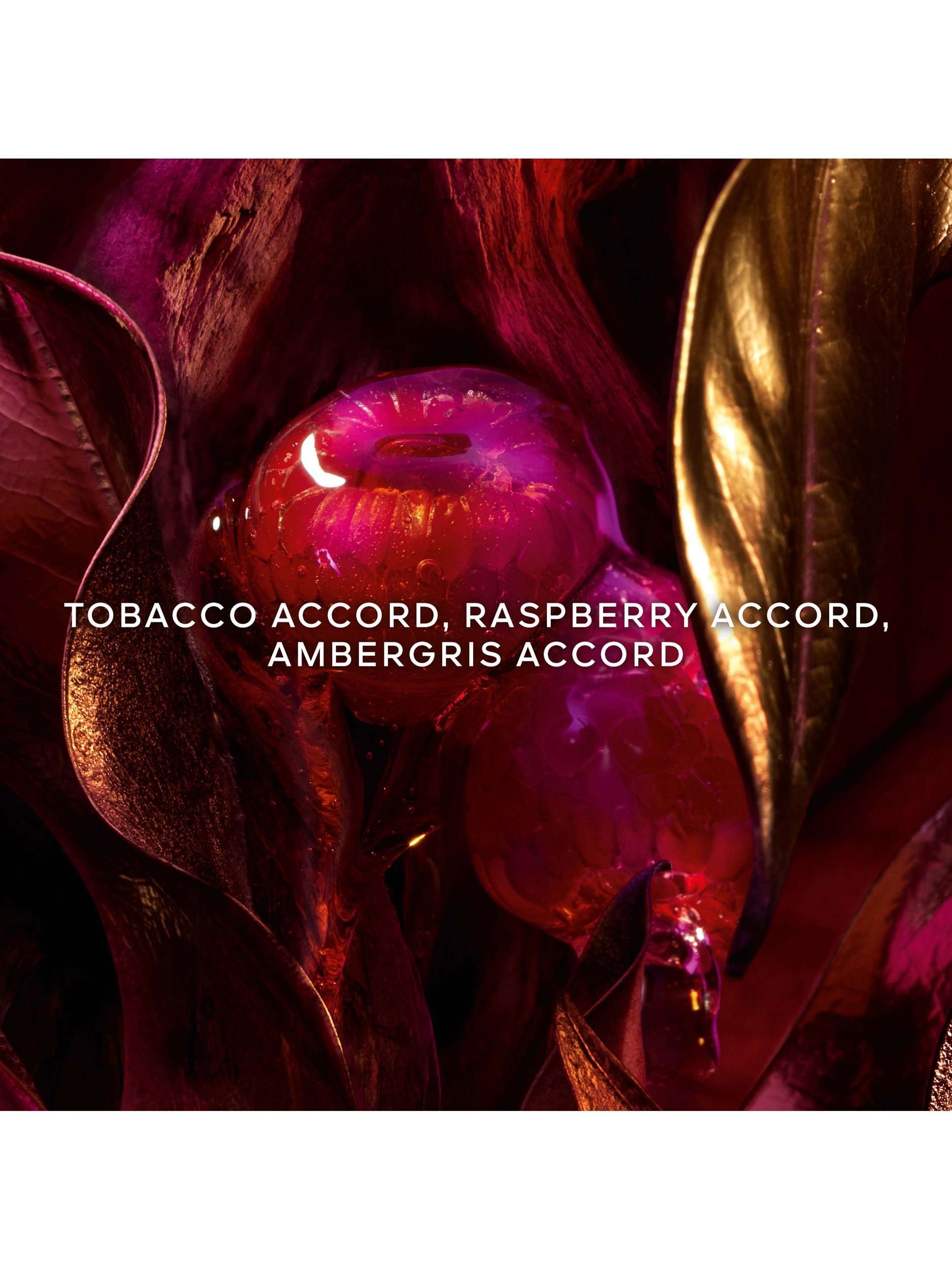 Absolus Allegoria Tabac Sahara Eau de Parfum