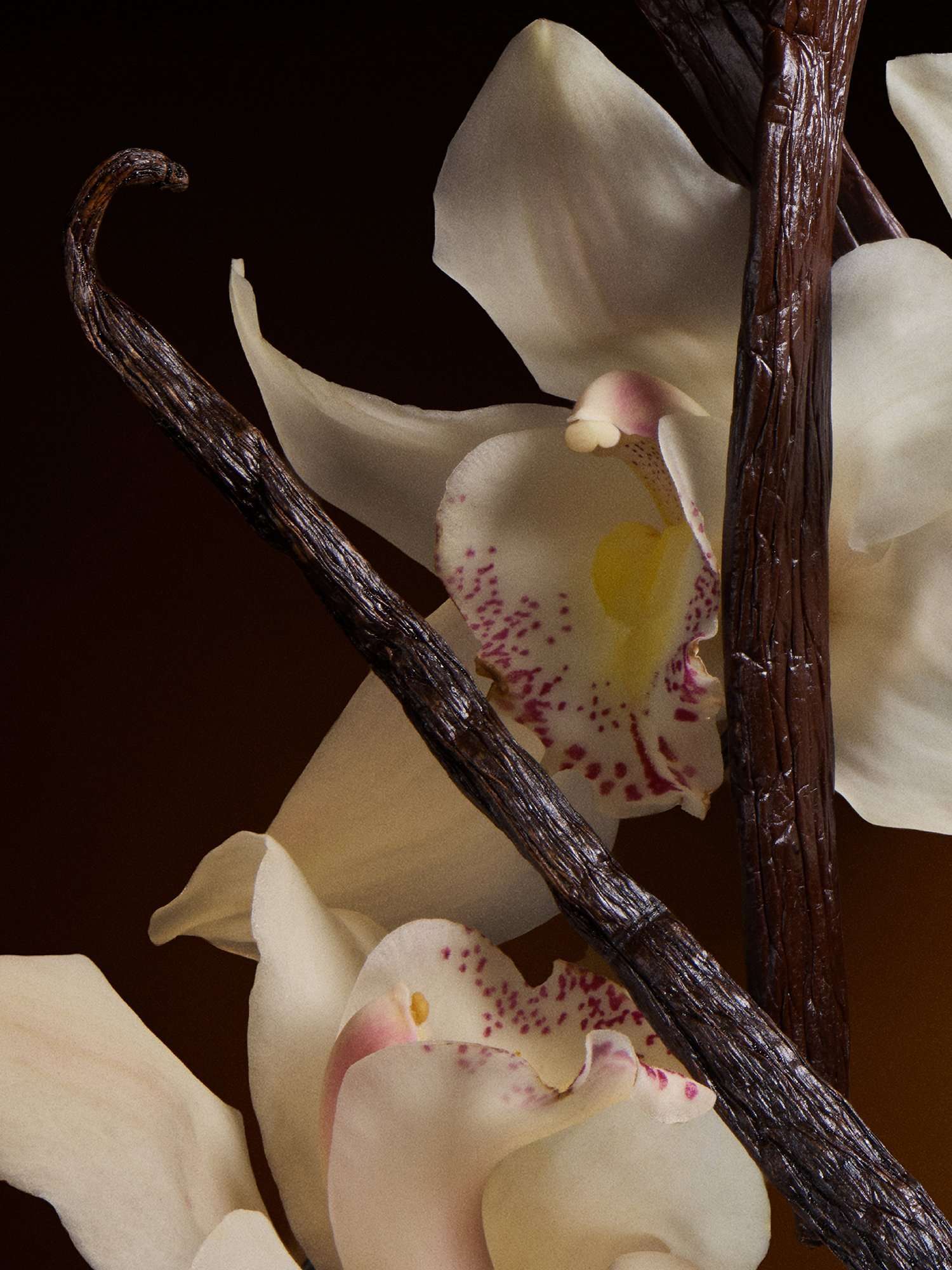 The One Eau de Parfum Intense, 75ml