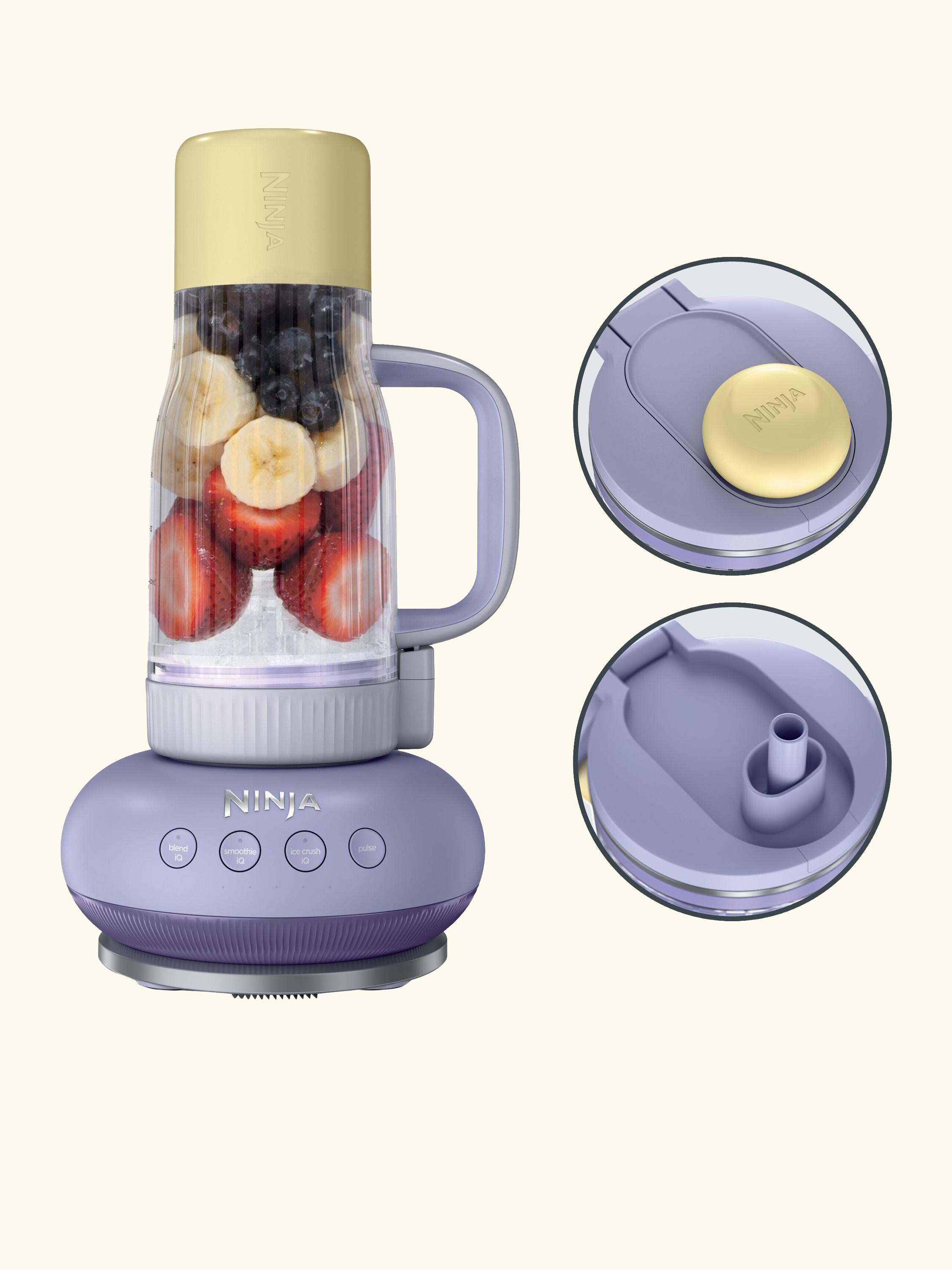 BlendBOSS Food Blender