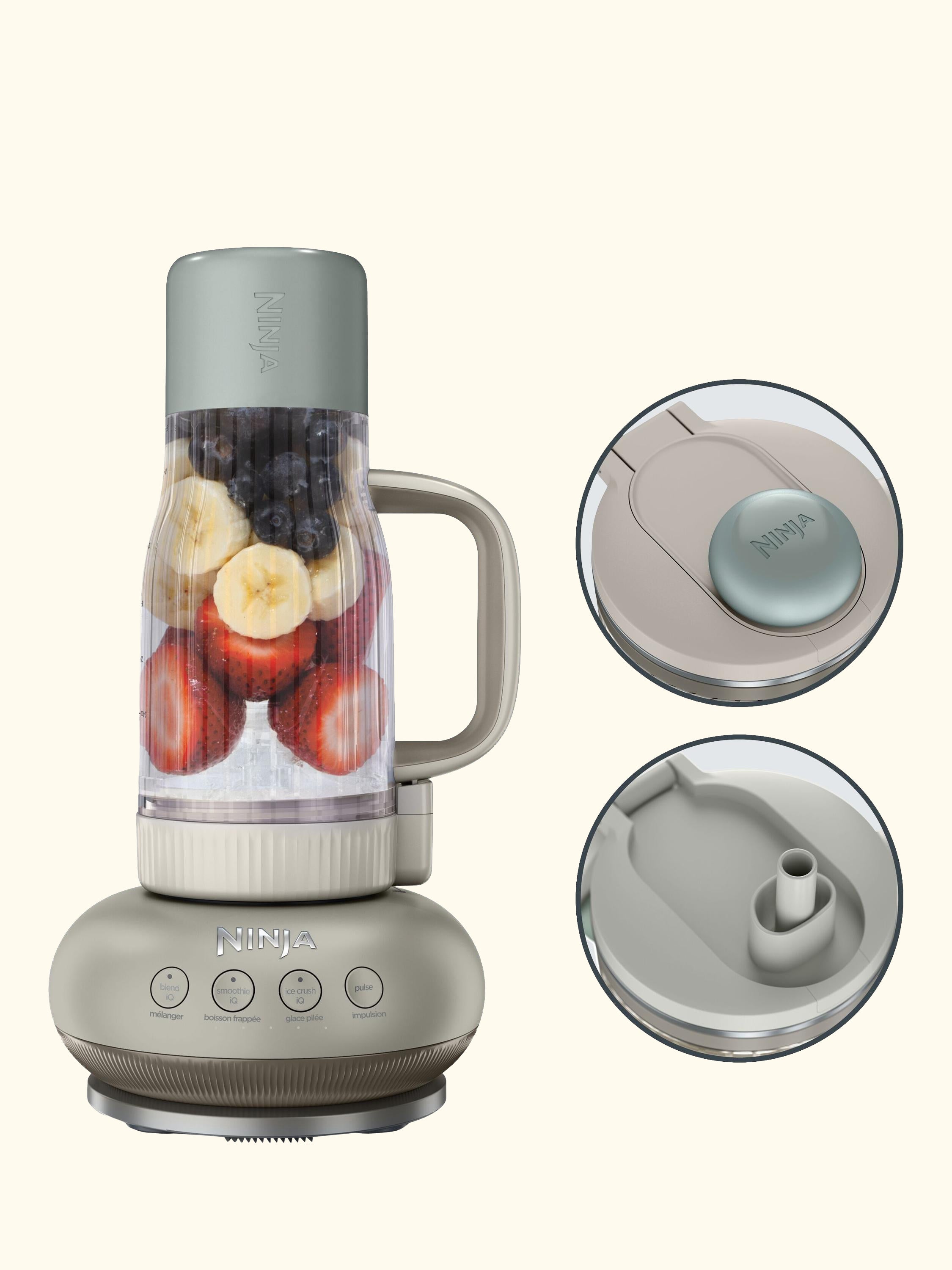 BlendBOSS Food Blender