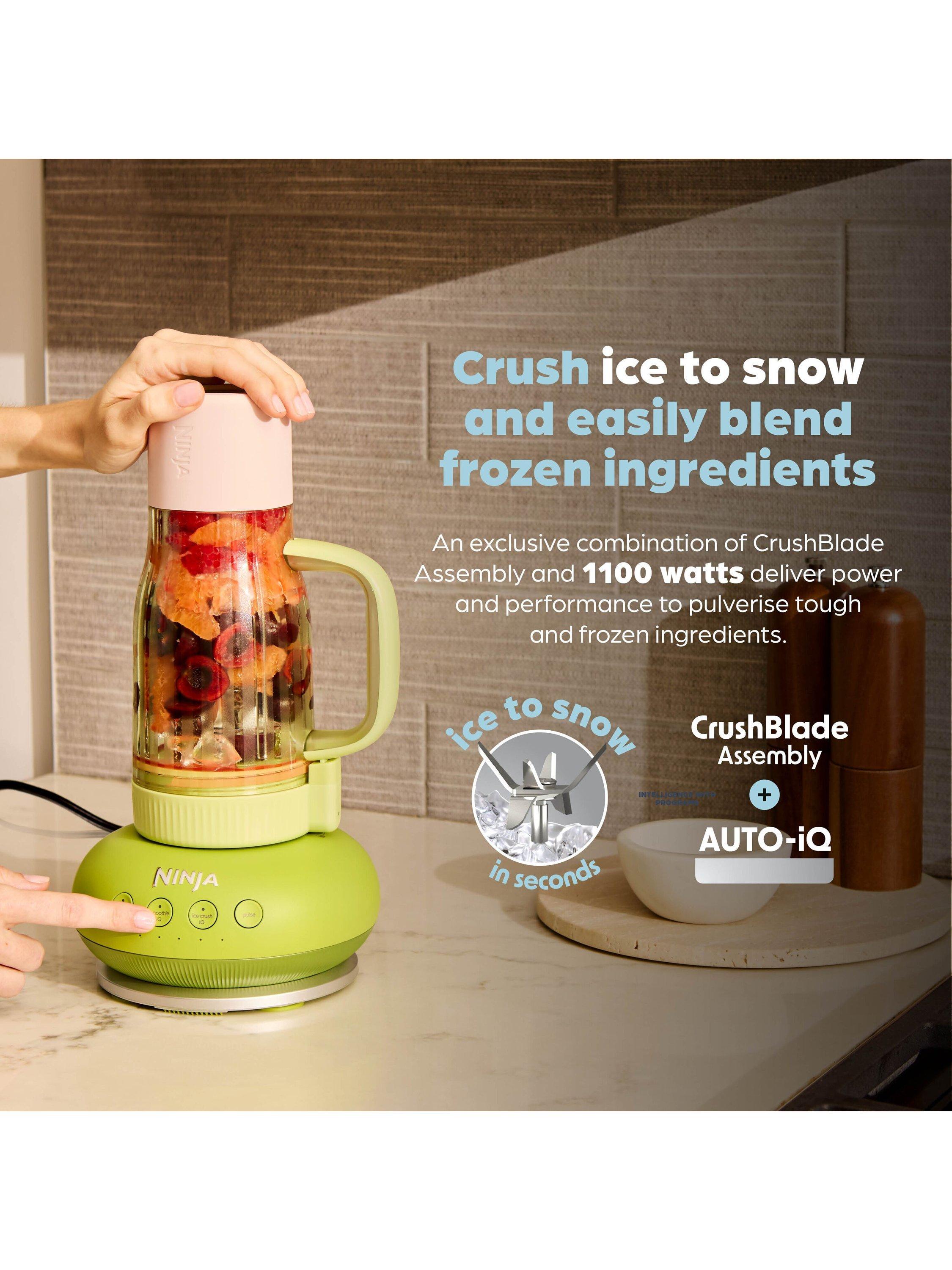 BlendBOSS Food Blender