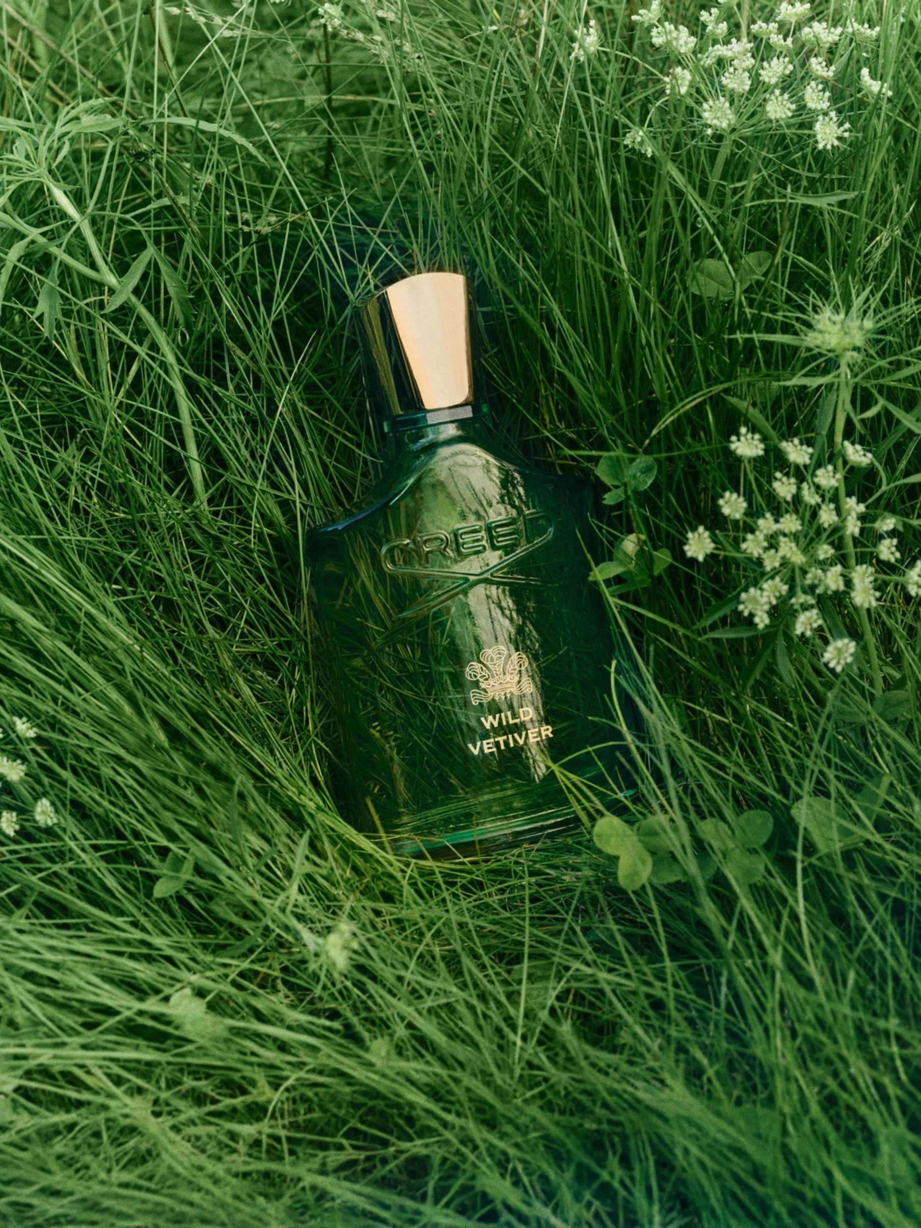 Wild Vetiver Eau de Parfum