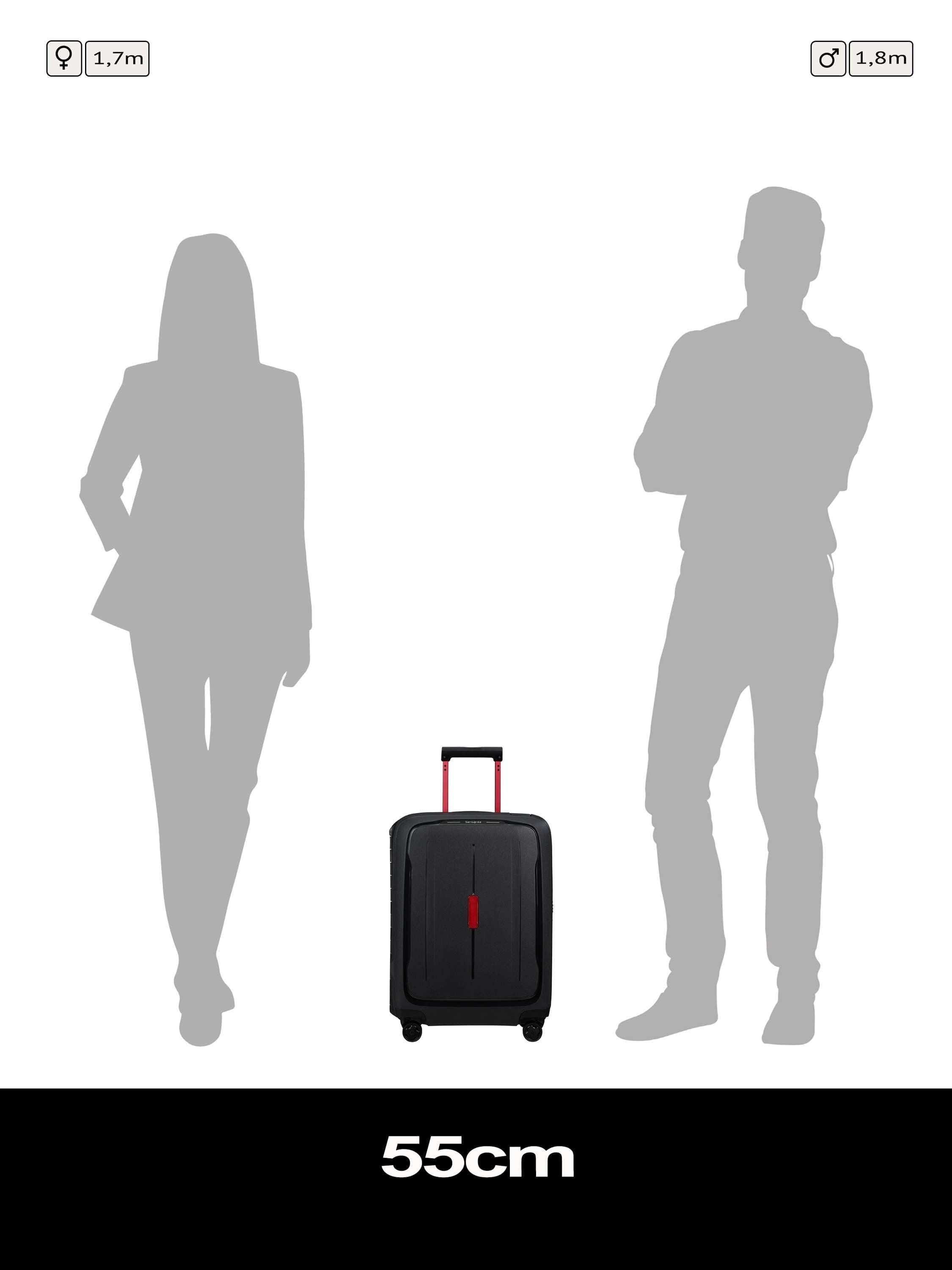 Essens 4-Wheel 55cm Recycled Cabin Case