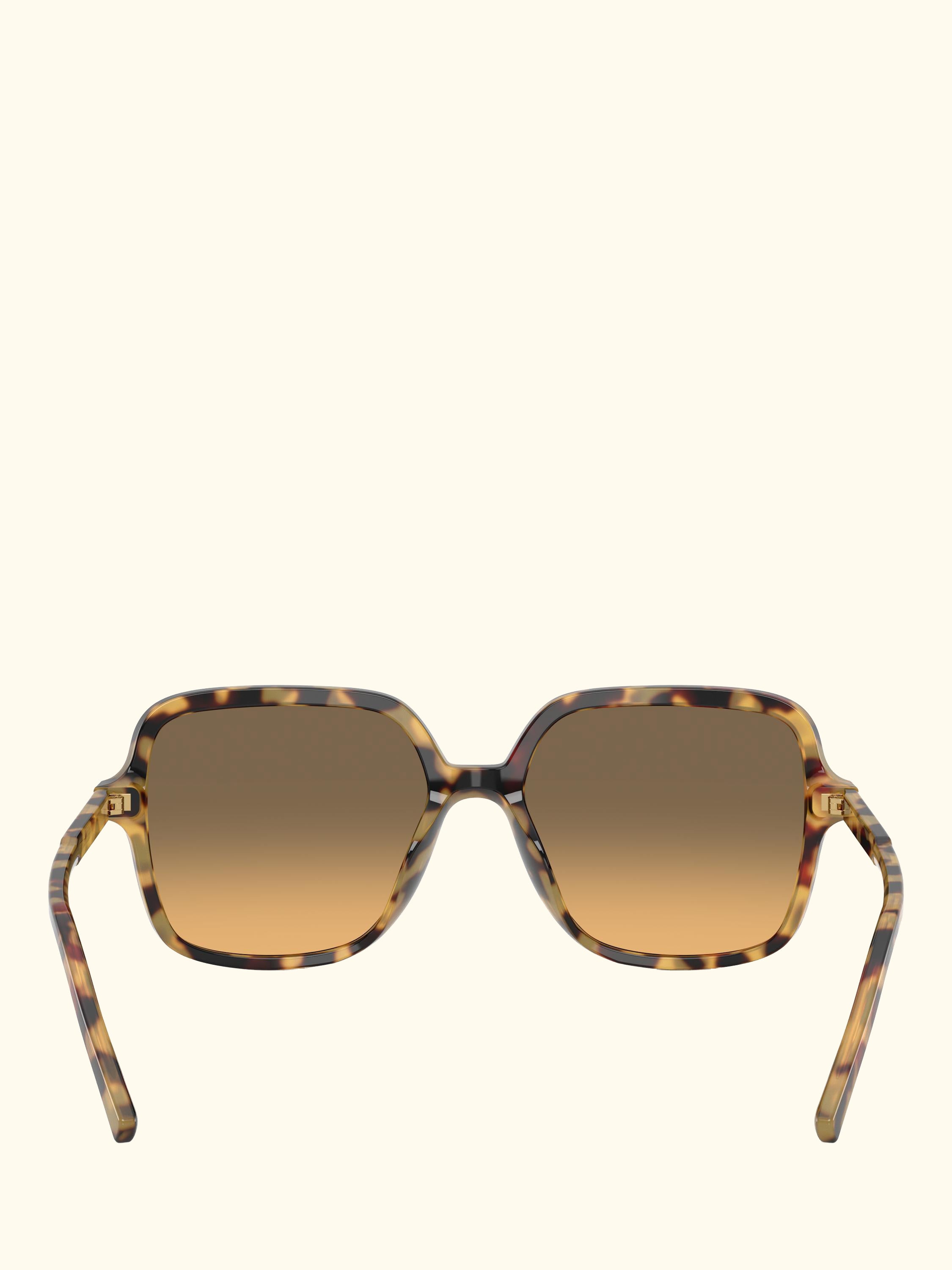 DG4539 Women's Square Sunglasses, Yellow Havana/Brown Gradient