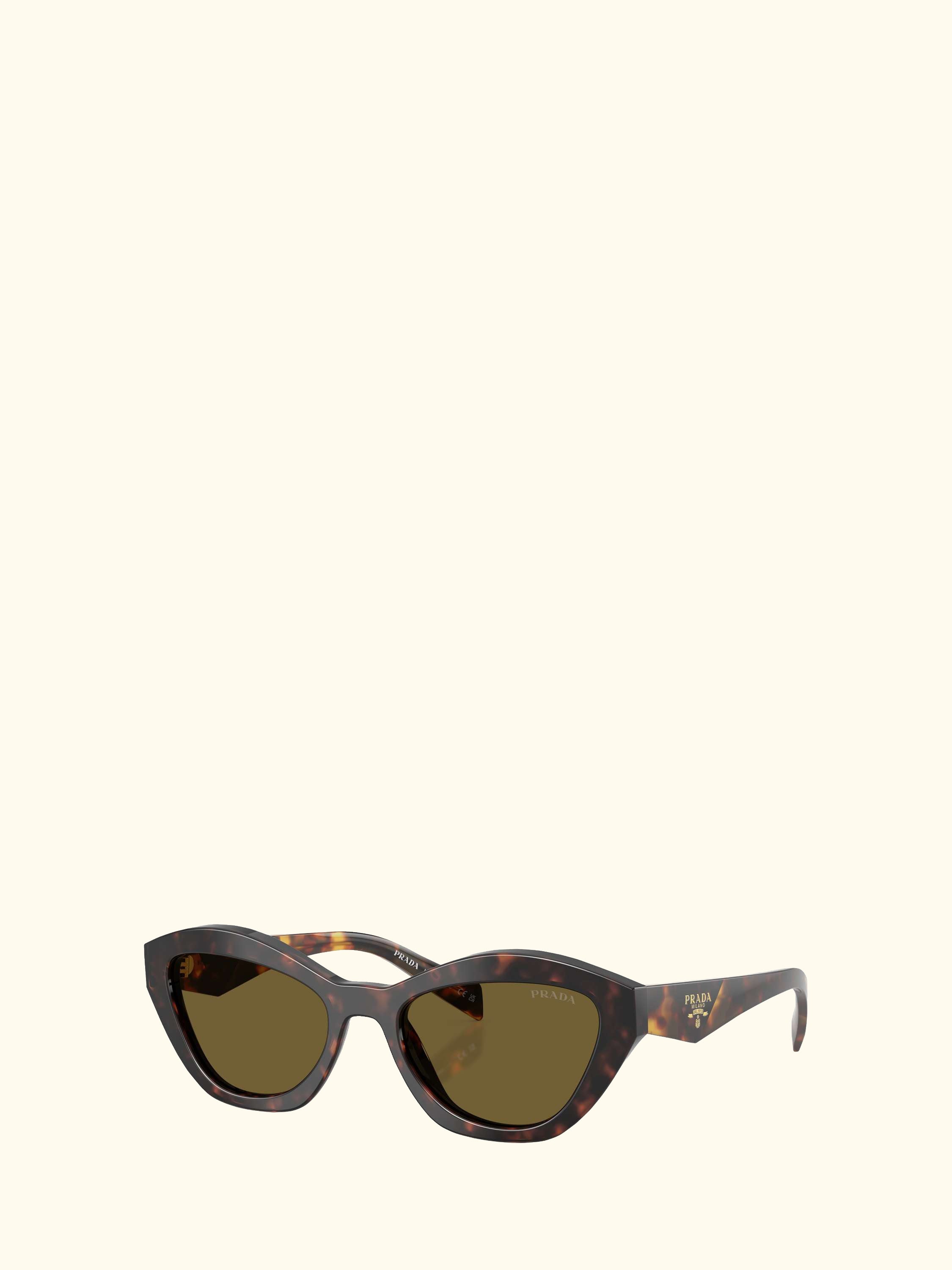 PR A02S Women's Cat Eye Sunglasses, Root Tortoise/Green