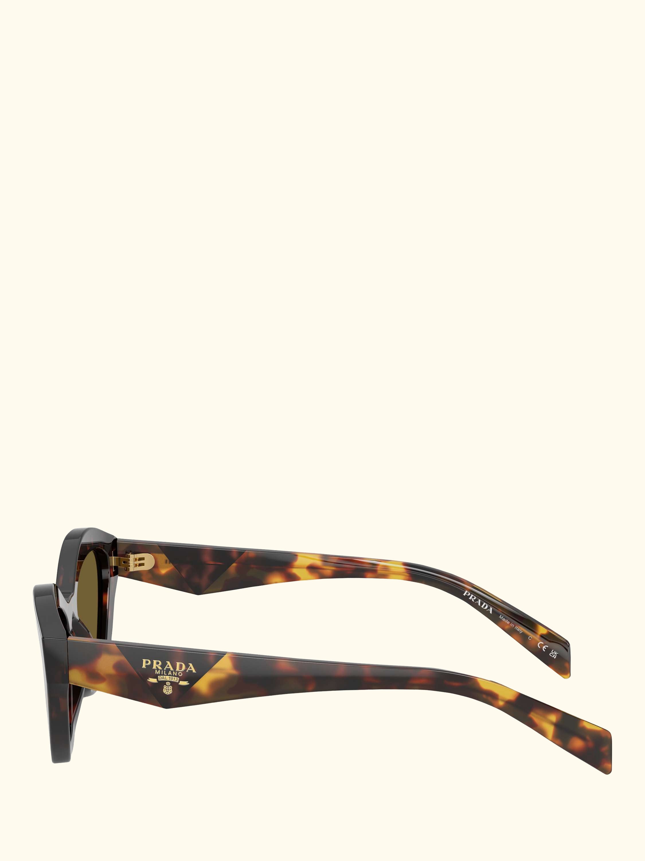 PR A02S Women's Cat Eye Sunglasses, Root Tortoise/Green