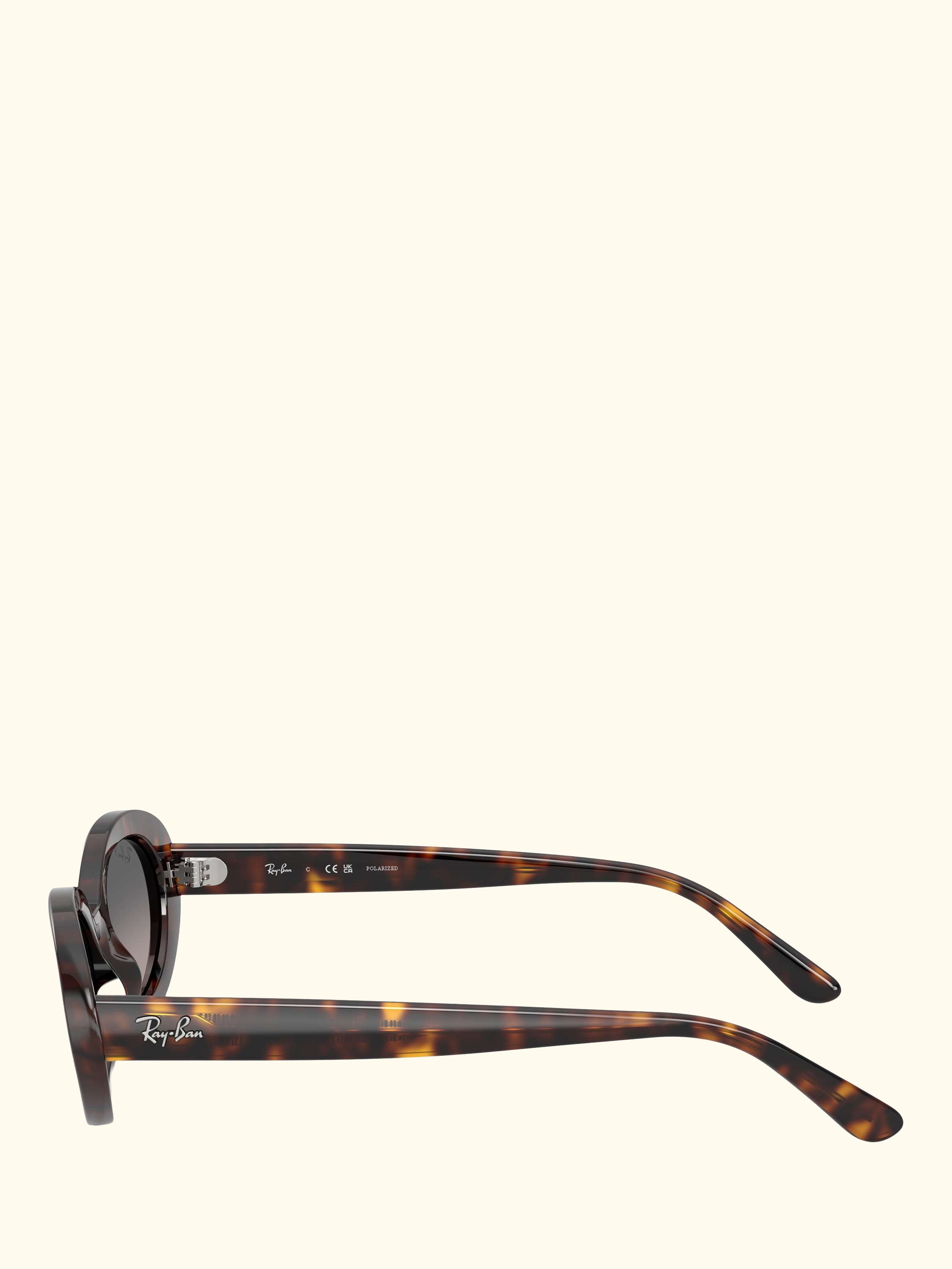 RB2223 Women's Oval Sunglasses, Havana