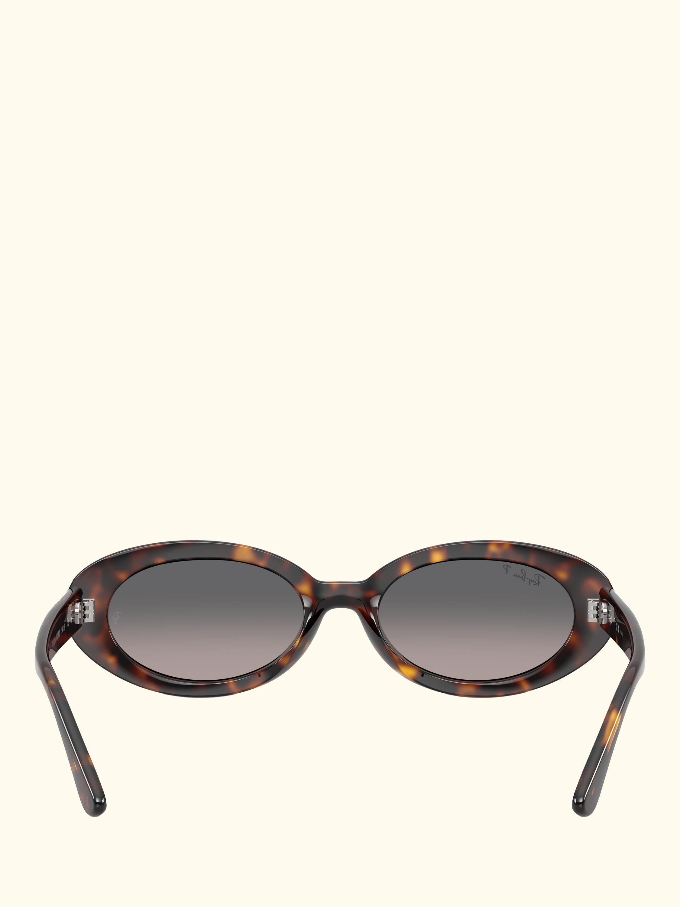 RB2223 Women's Oval Sunglasses, Havana