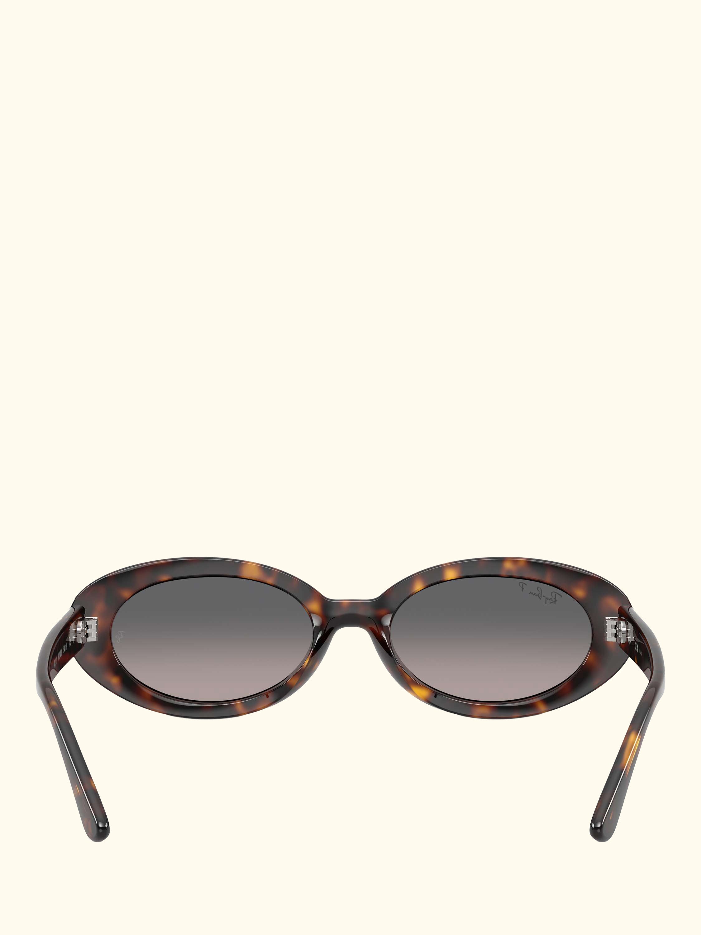 RB2223 Women's Oval Sunglasses, Havana