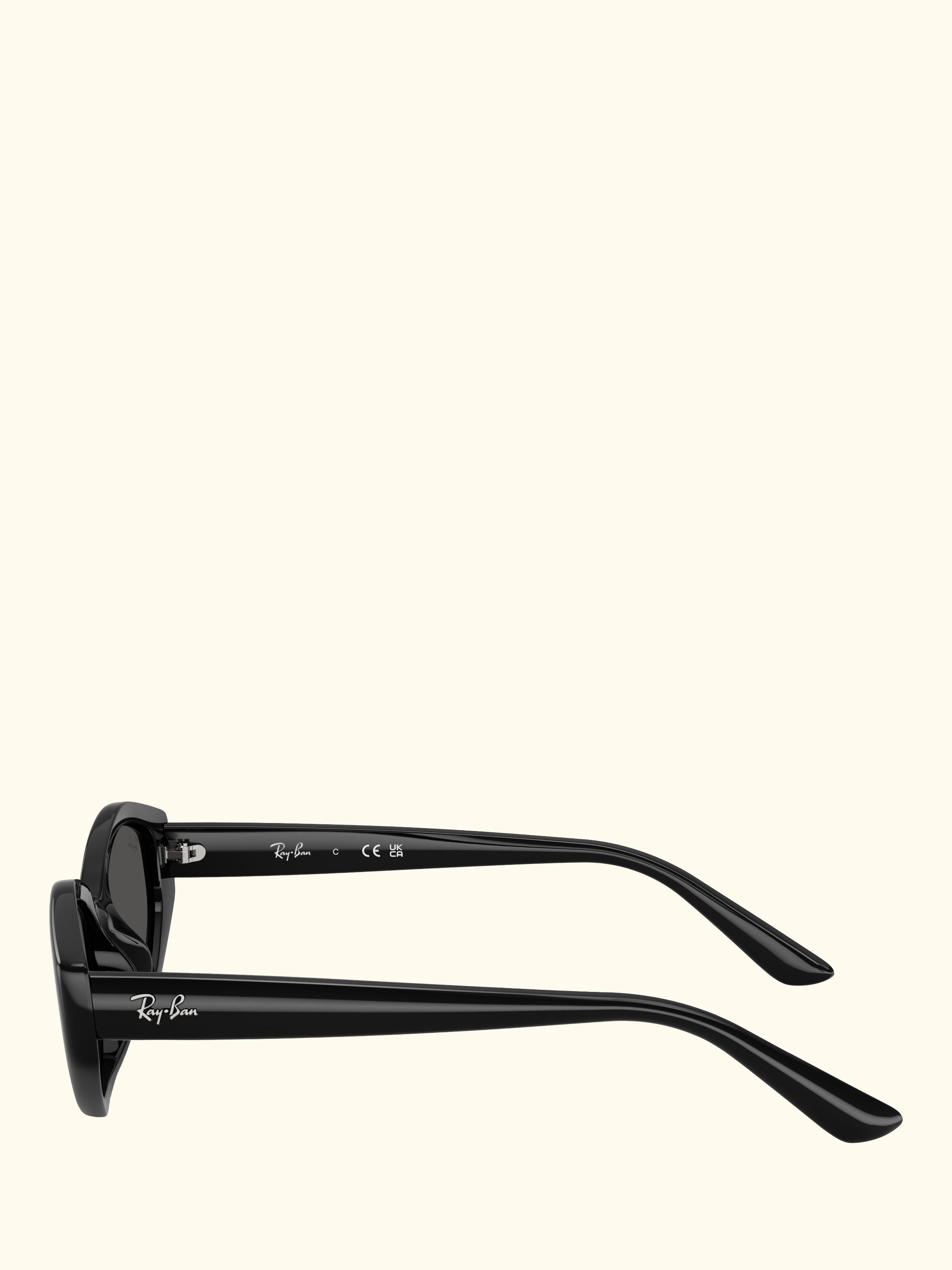 RB4473D Men's Irregular Sunglasses, Black