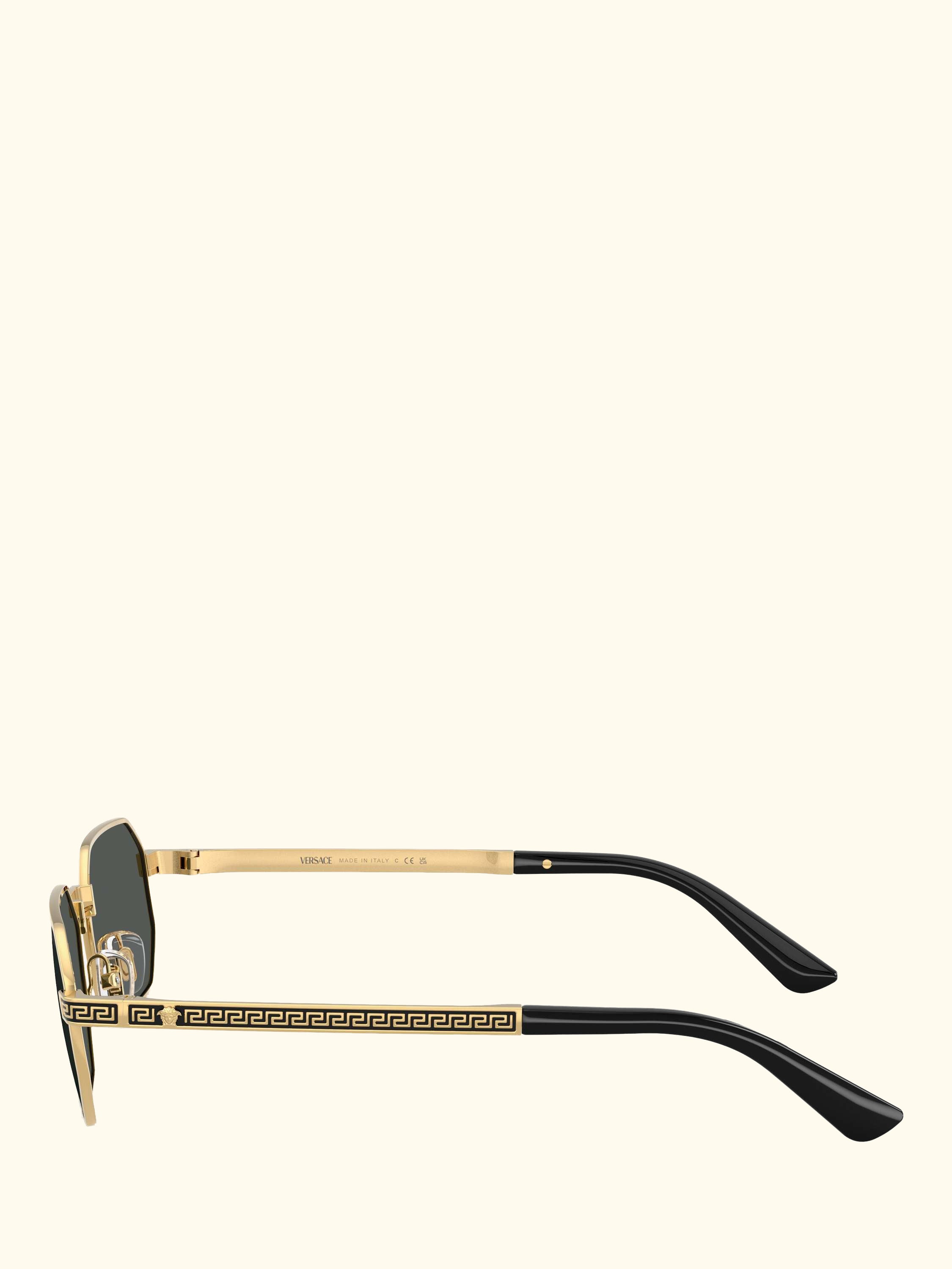 VE2297 Men's Irregular Sunglasses, Gold/Grey