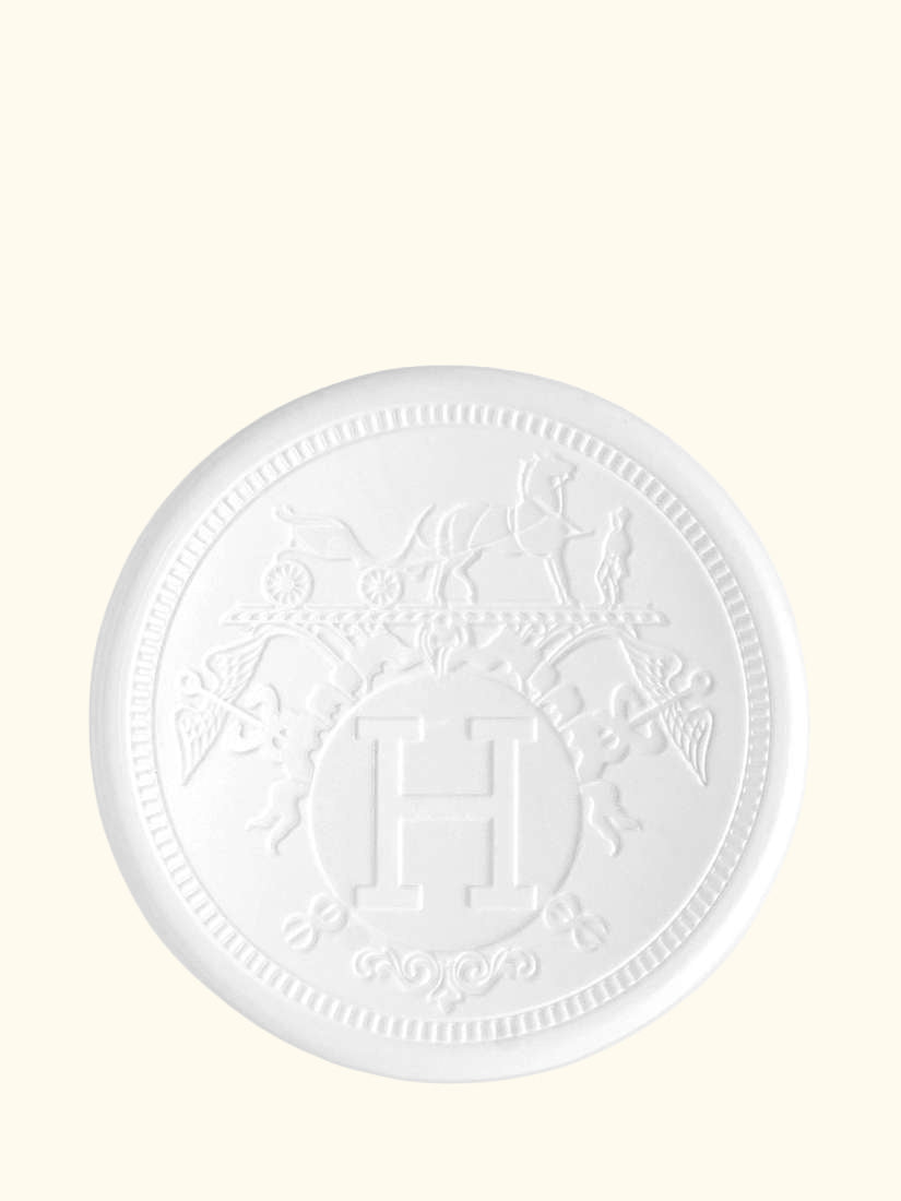 Limited Edition Hermèsistible Infused Care Oil Lip Gloss