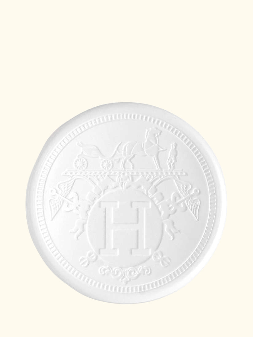 Limited Edition Hermèsistible Infused Care Oil Lip Gloss