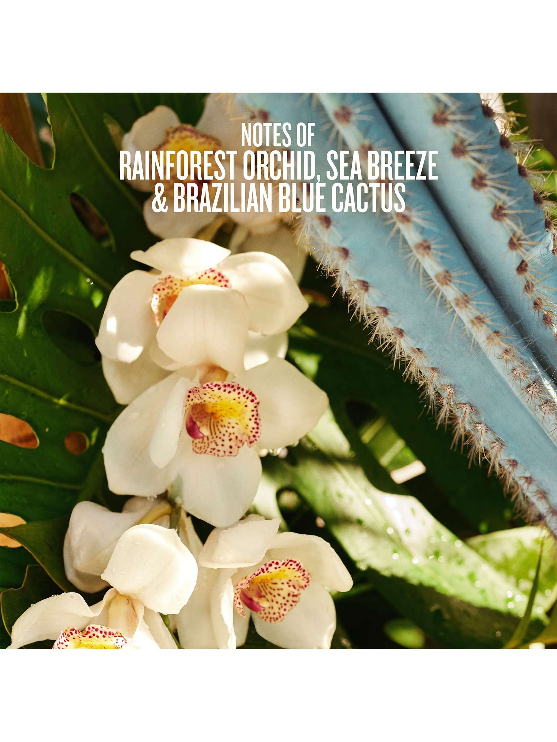 Limited Edition Refresco Paraíso Perfume Mist, 90ml