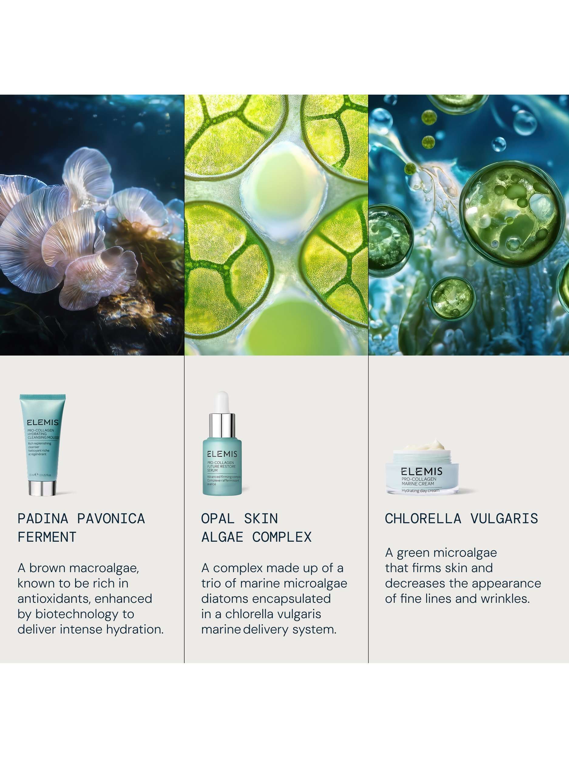 Power of Pro-Collagen Discovery Collection Skincare Gift Set