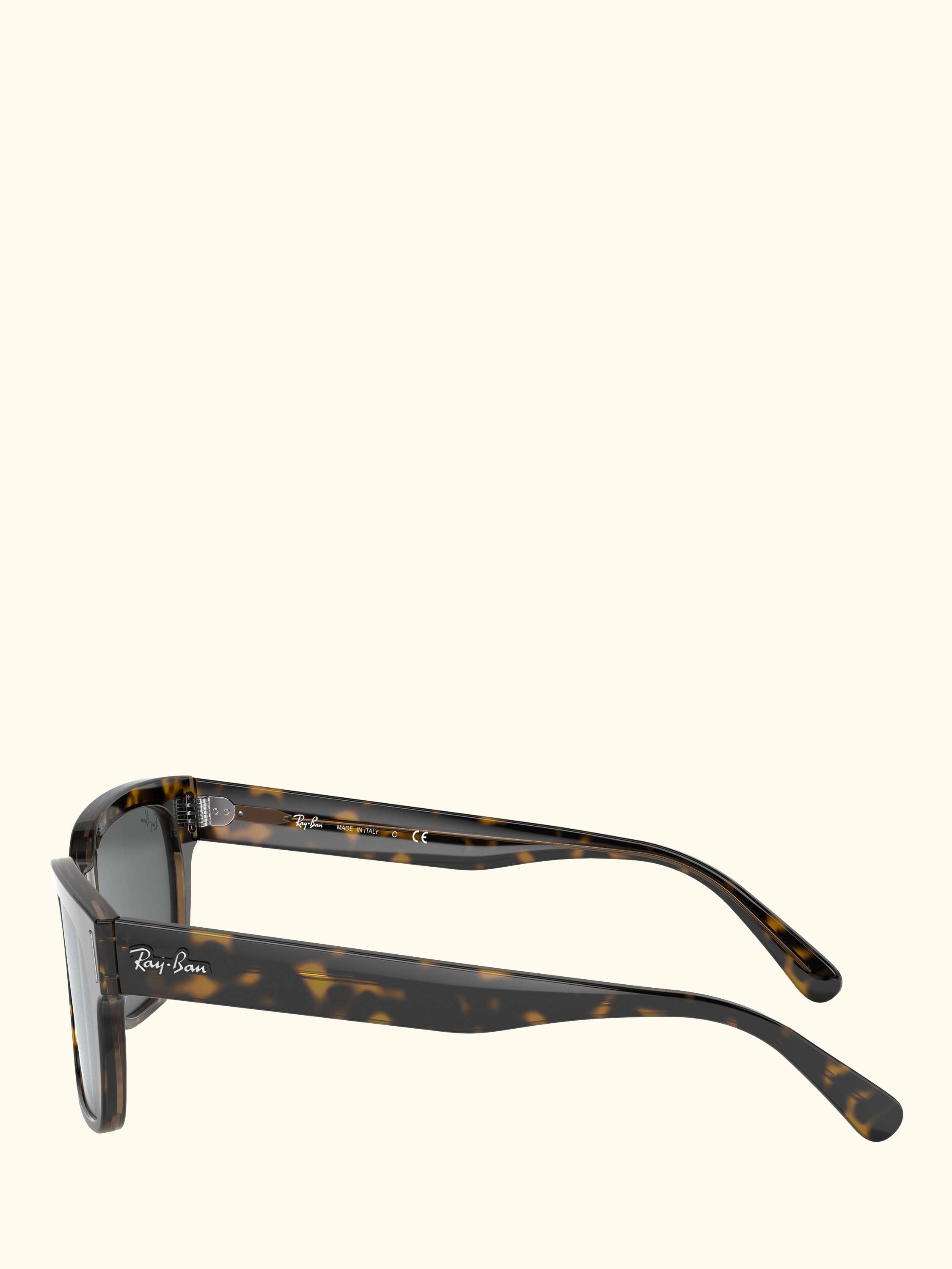 RB2190 Men's Jeffrey Classic Sunglasses, Havana On Transparent Brown