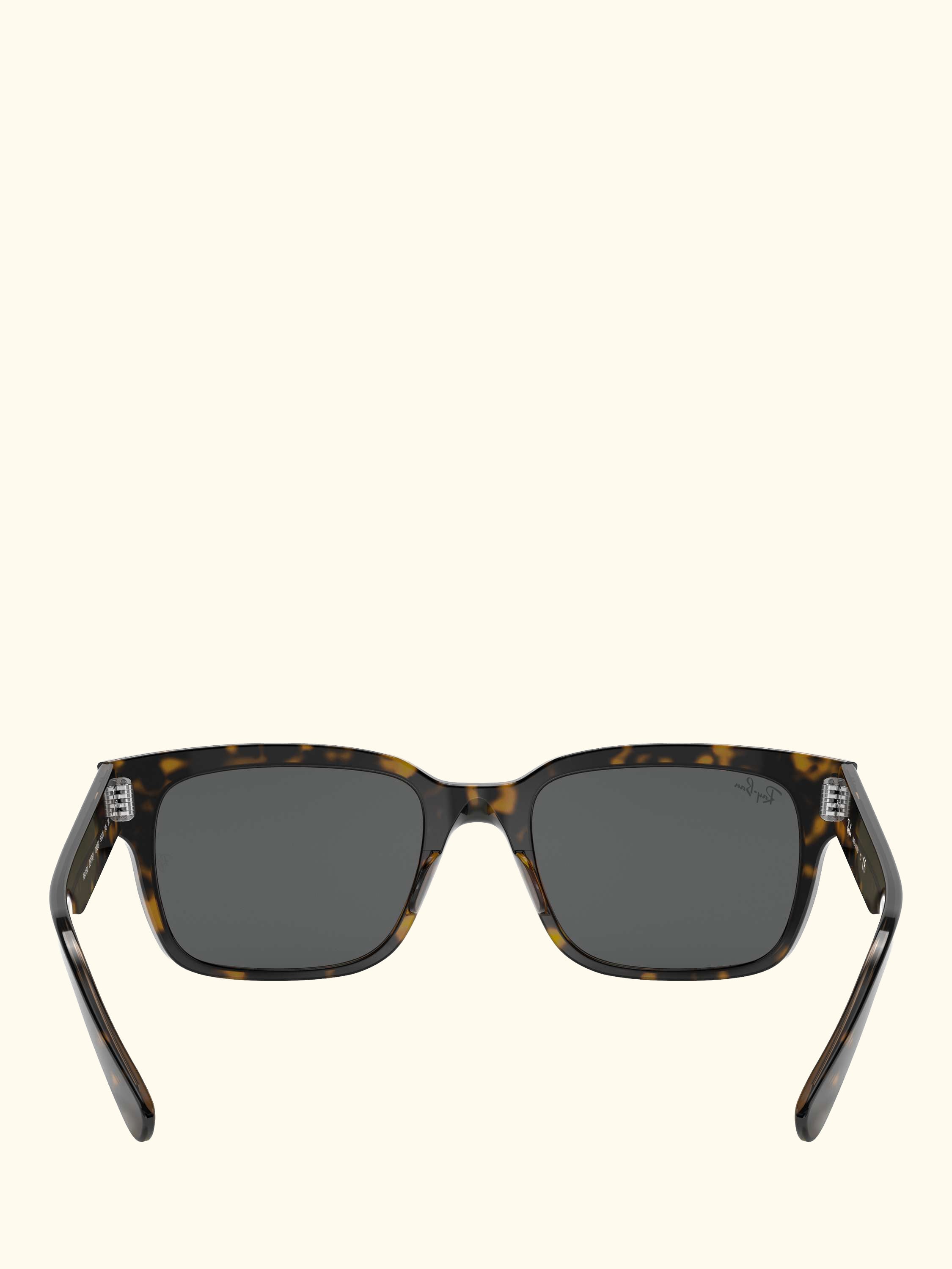 RB2190 Men's Jeffrey Classic Sunglasses, Havana On Transparent Brown