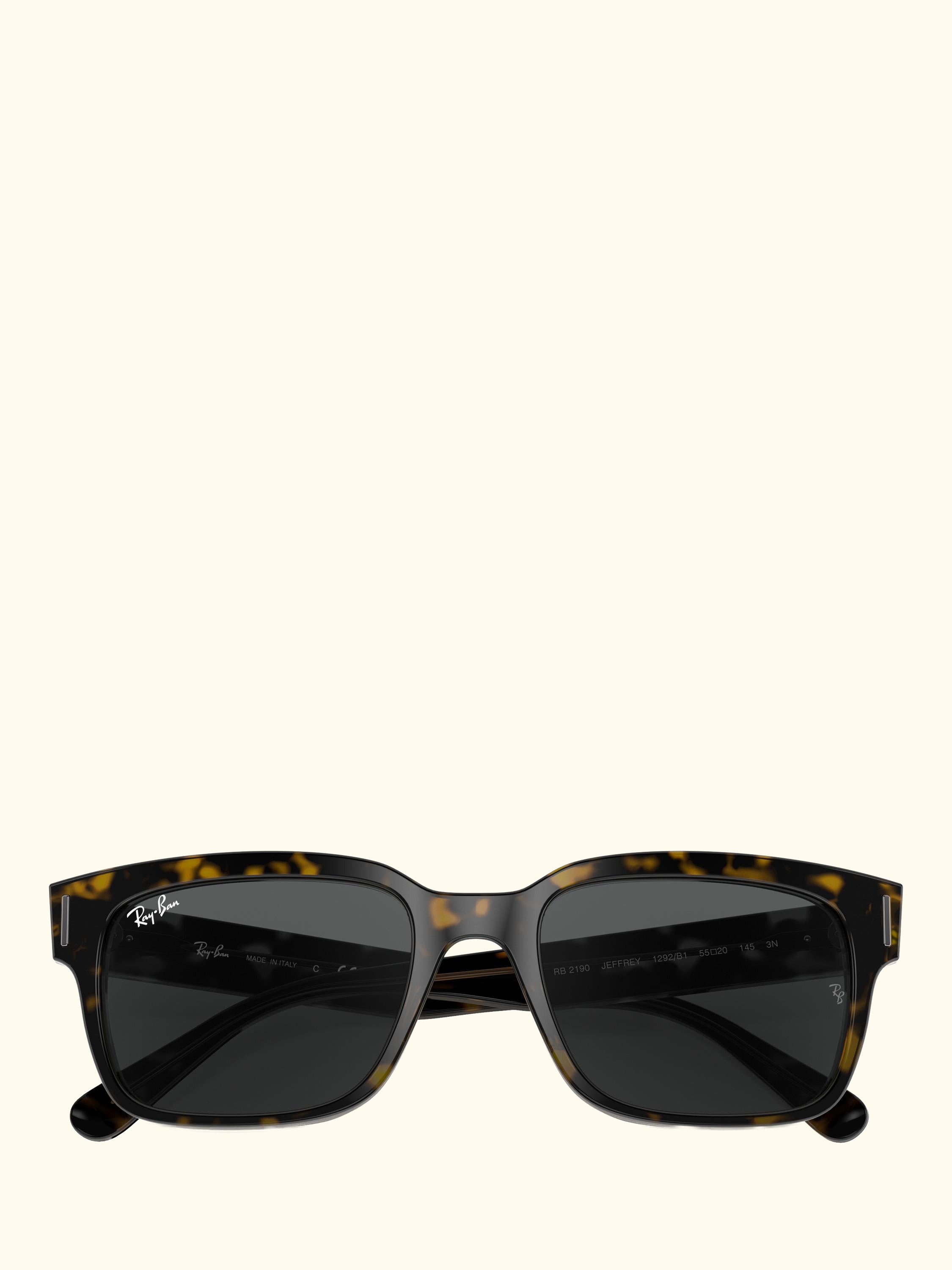 RB2190 Men's Jeffrey Classic Sunglasses, Havana On Transparent Brown