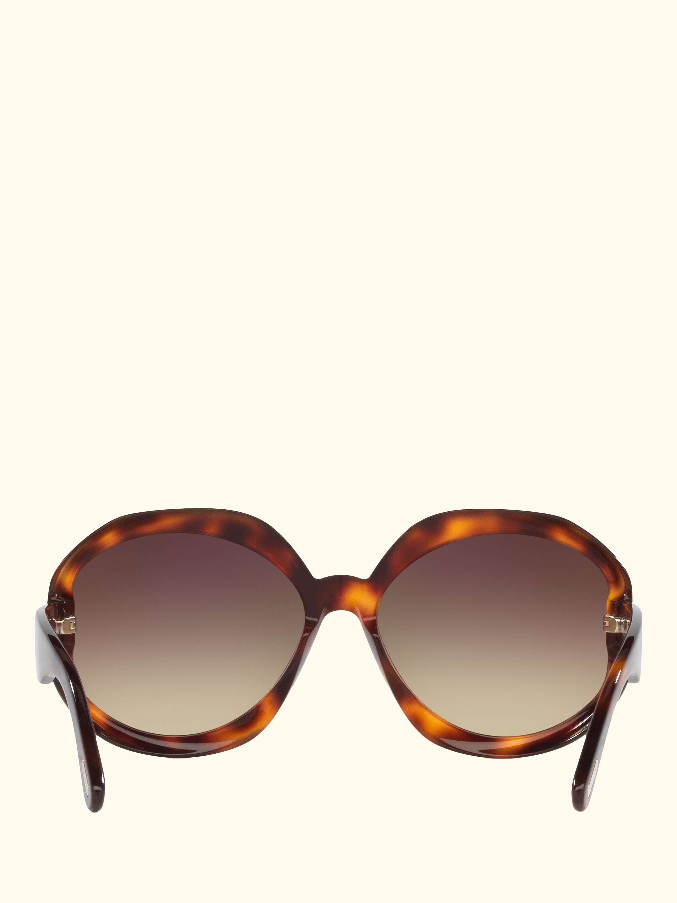 TR001511 Women's Round Sunglasses, Havana/Brown Gradient