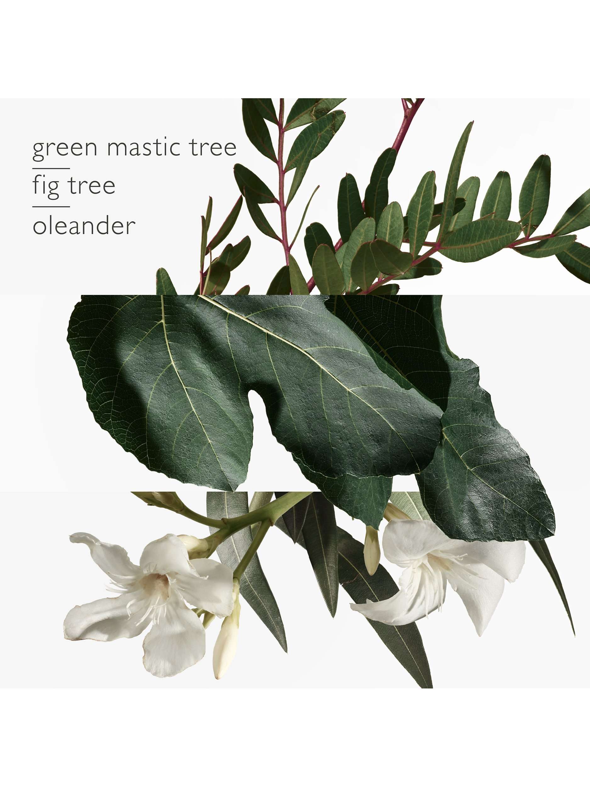 Un Jardin en Méditerranée Eau de Toilette