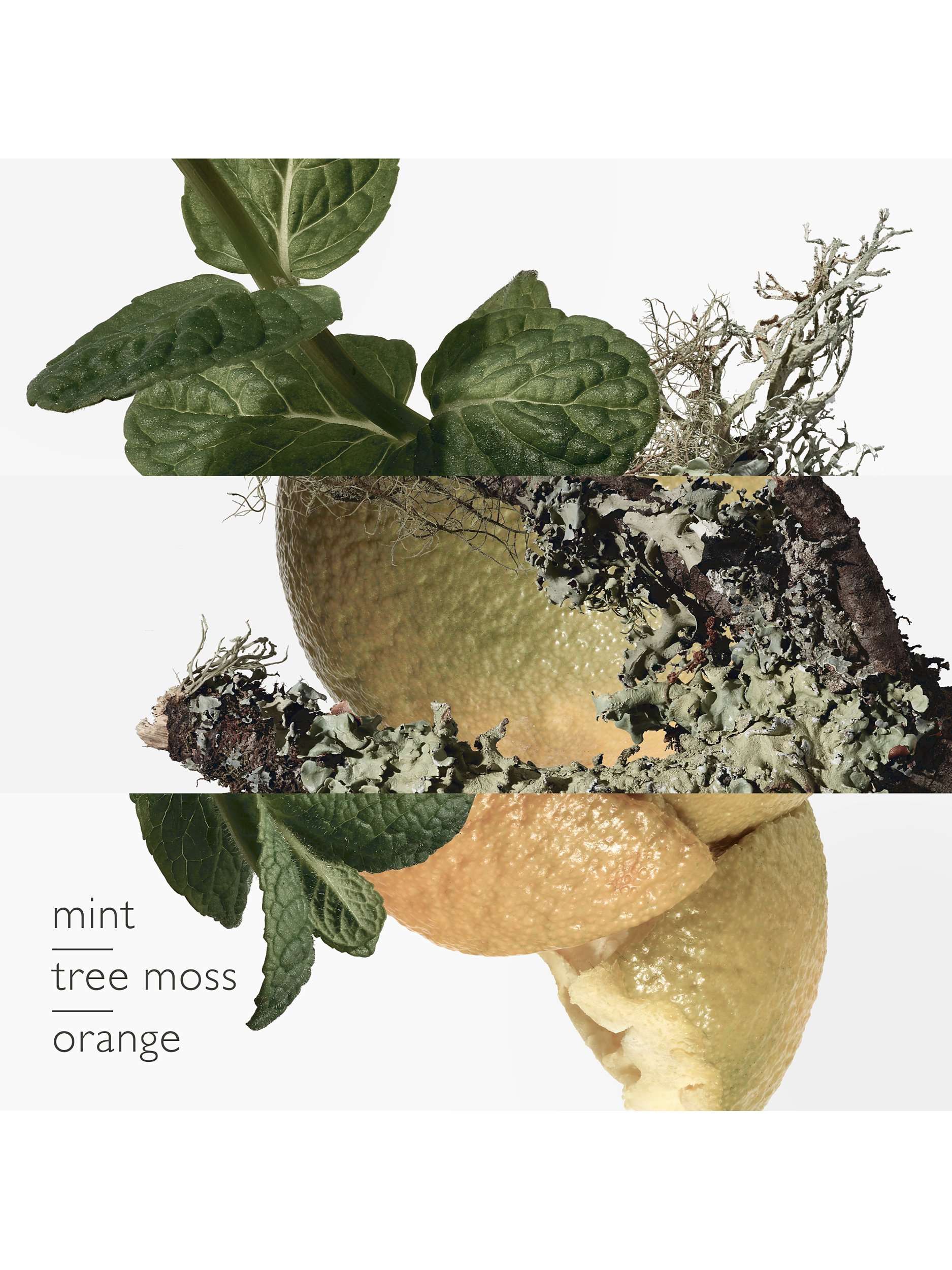 Eau d'Orange Verte Eau de Cologne