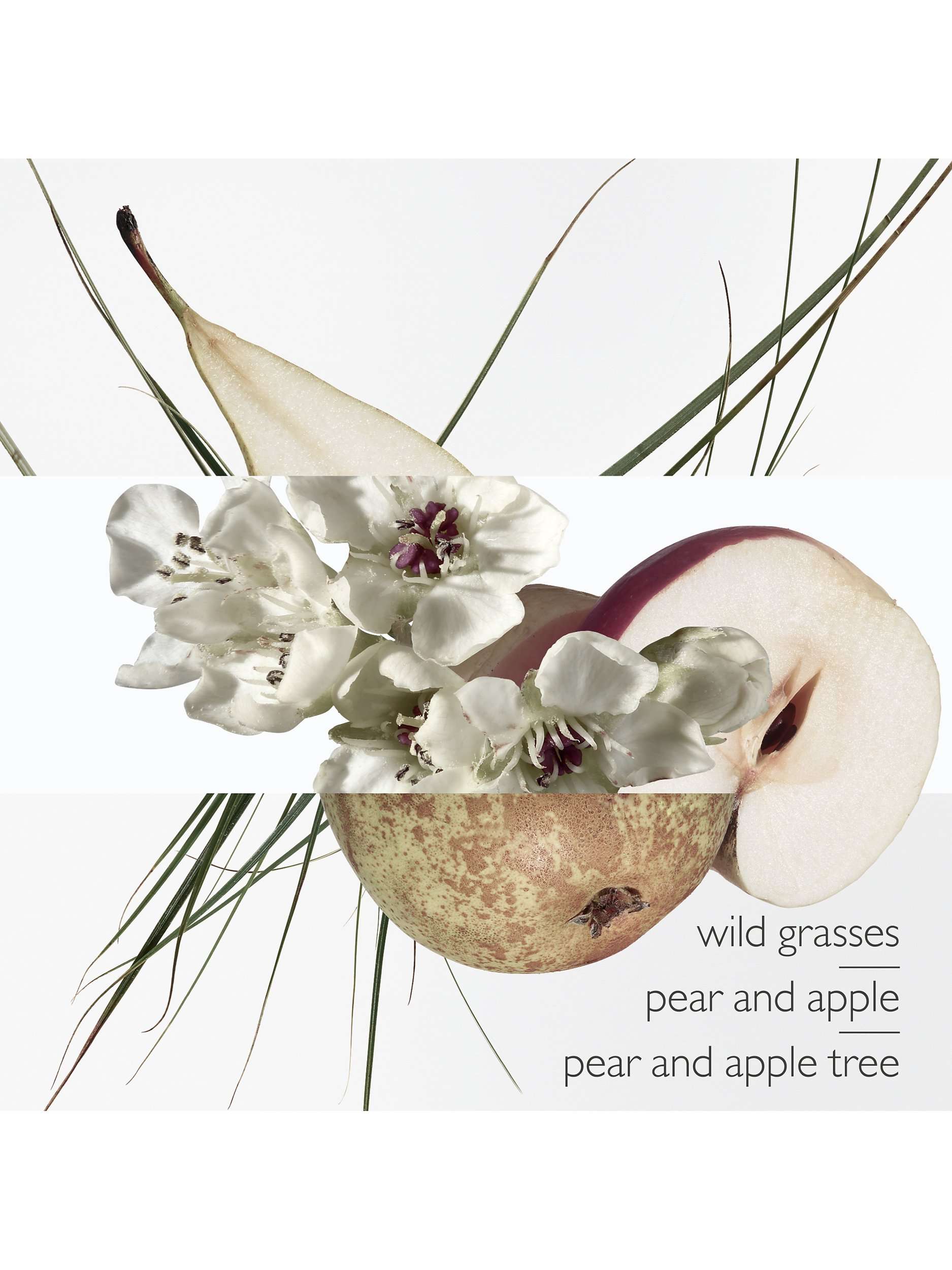 Un Jardin Sur le Toit Eau de Toilette