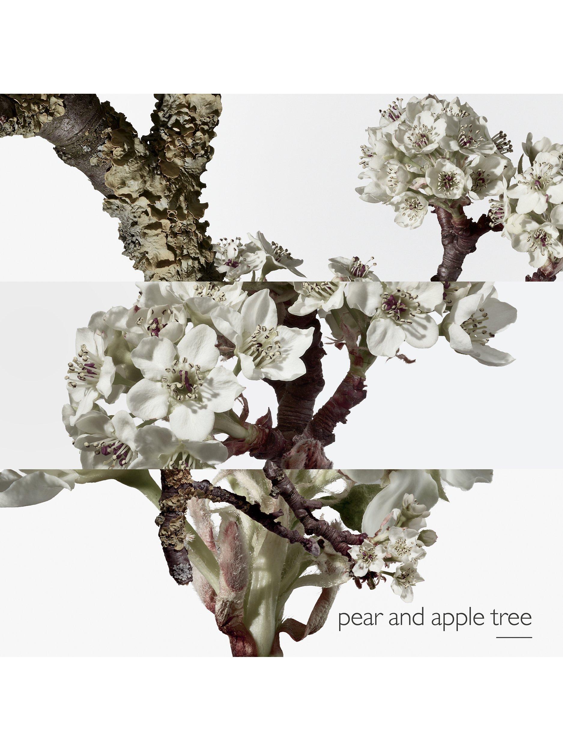 Un Jardin Sur le Toit Eau de Toilette