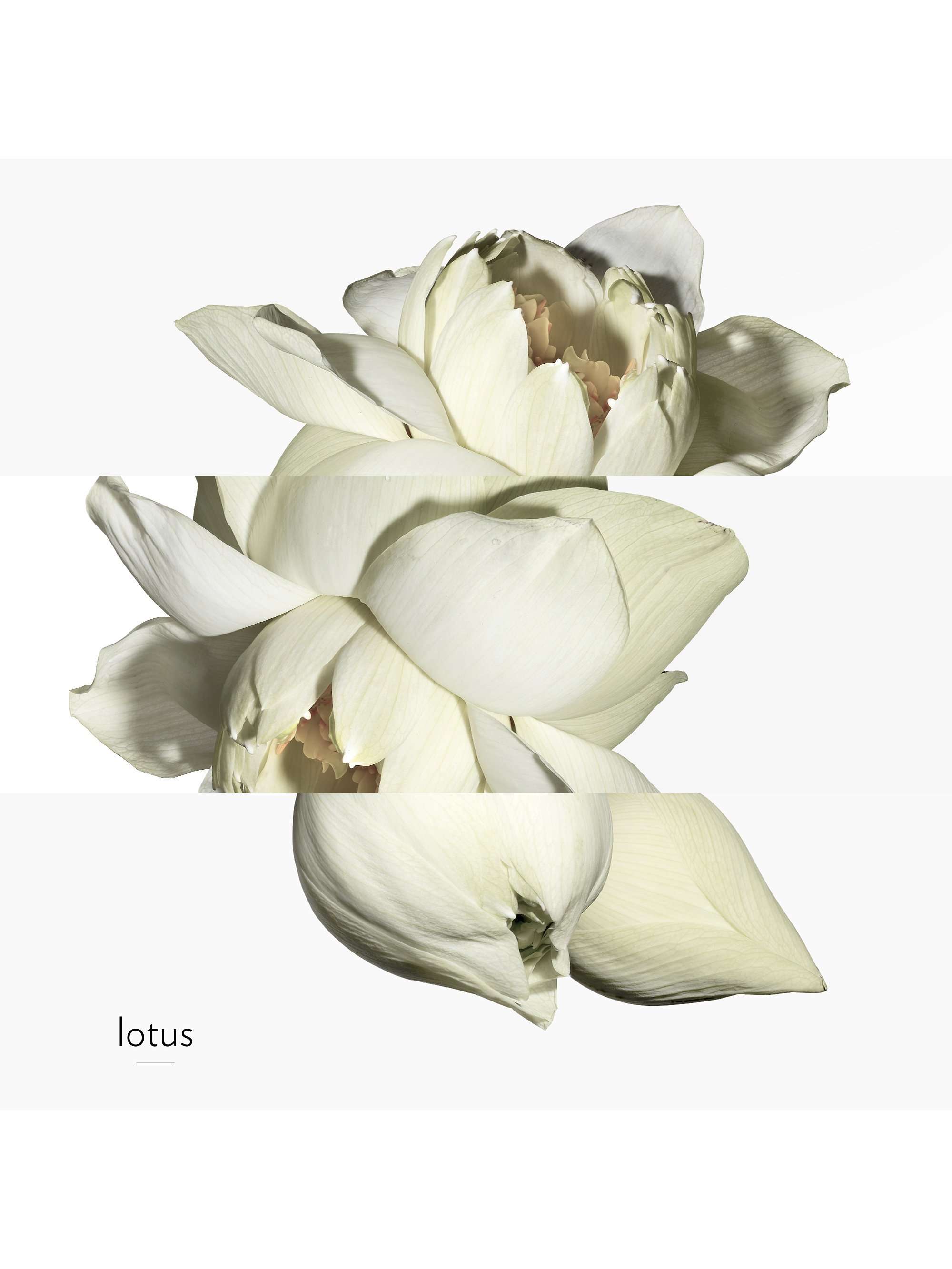 Un Jardin Sur Le Nil Eau de Toilette