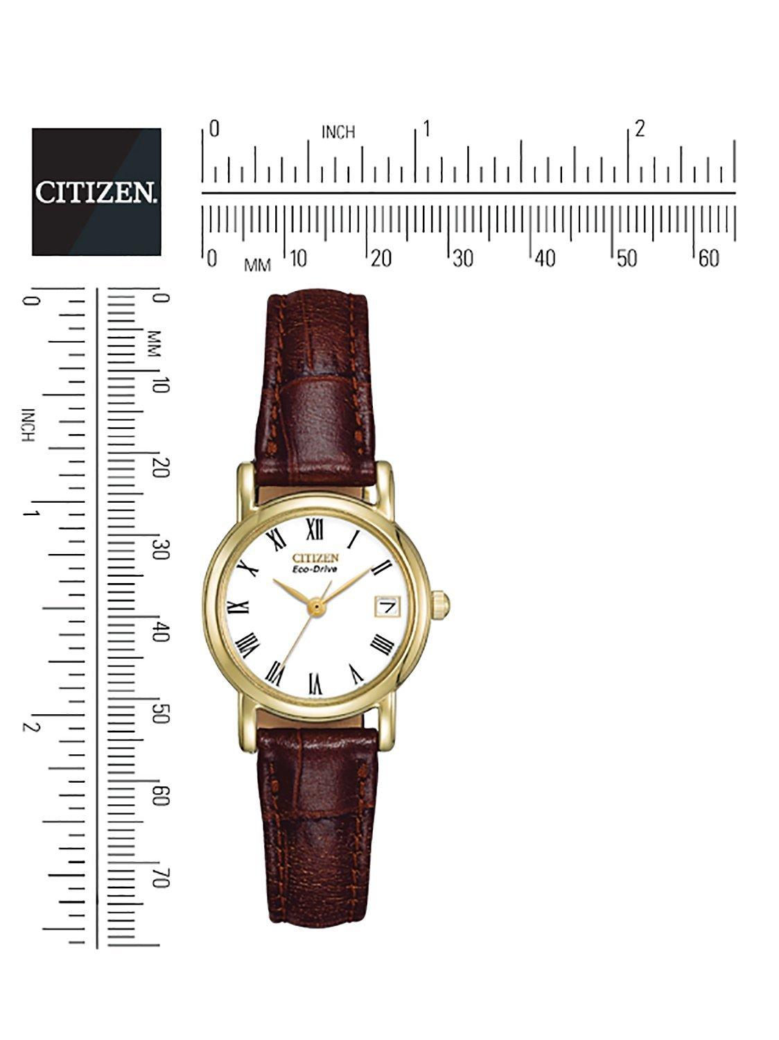 EW1272-01B Women's Eco-Drive Leather Strap Watch, Brown/White