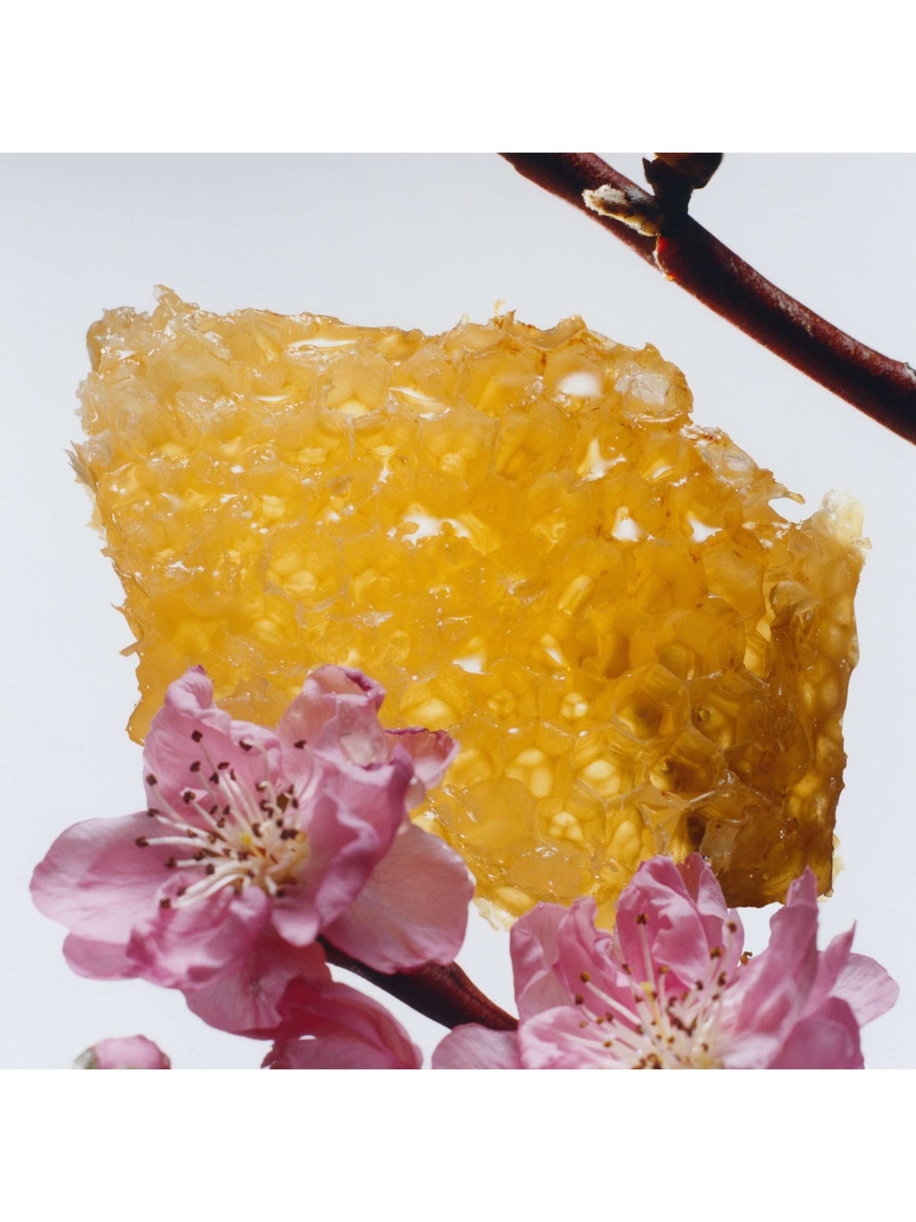 Nectarine Blossom & Honey Body Crème, 175ml