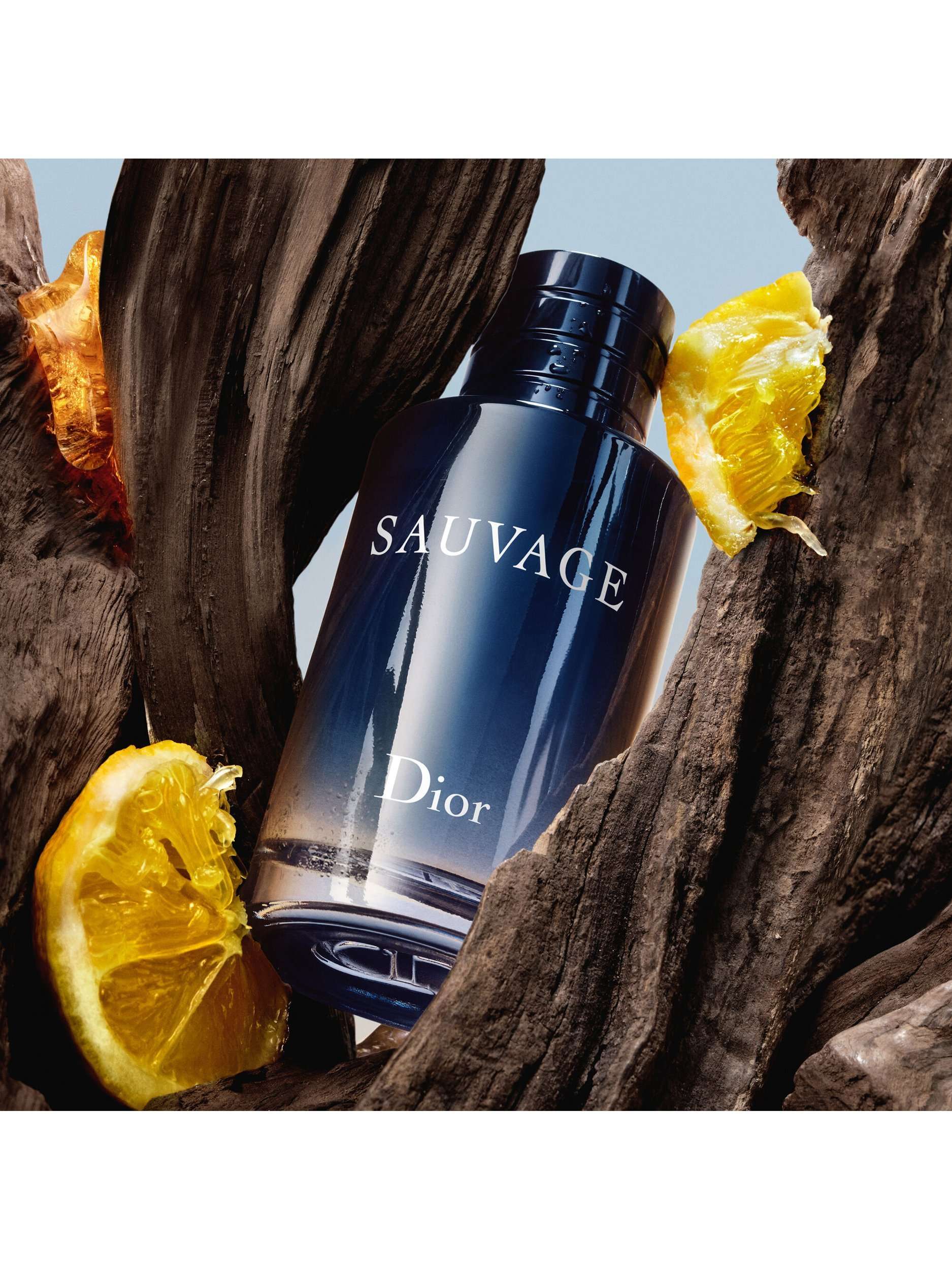 Sauvage Spray Eau de Toilette