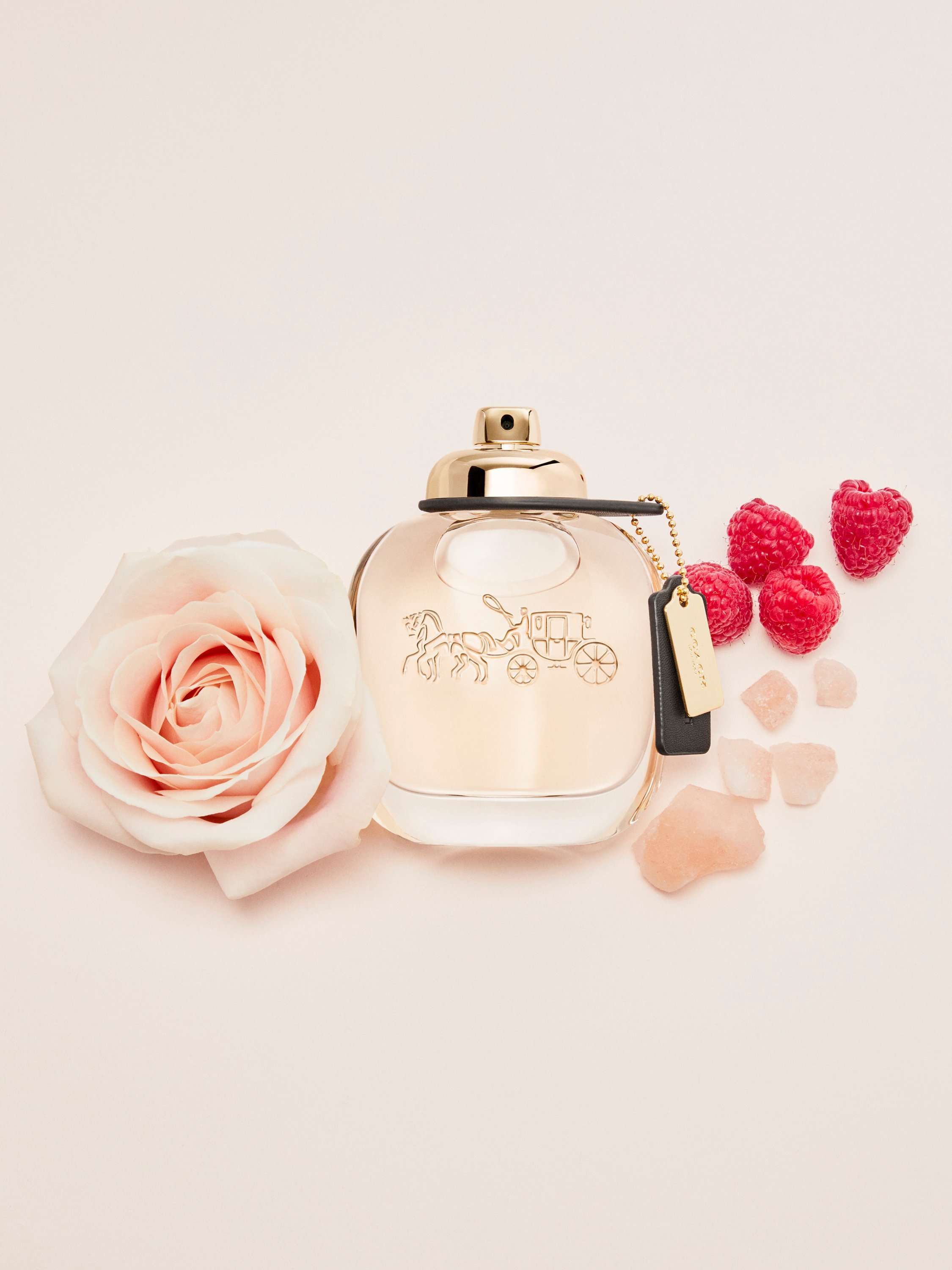 The Fragrance Eau de Parfum
