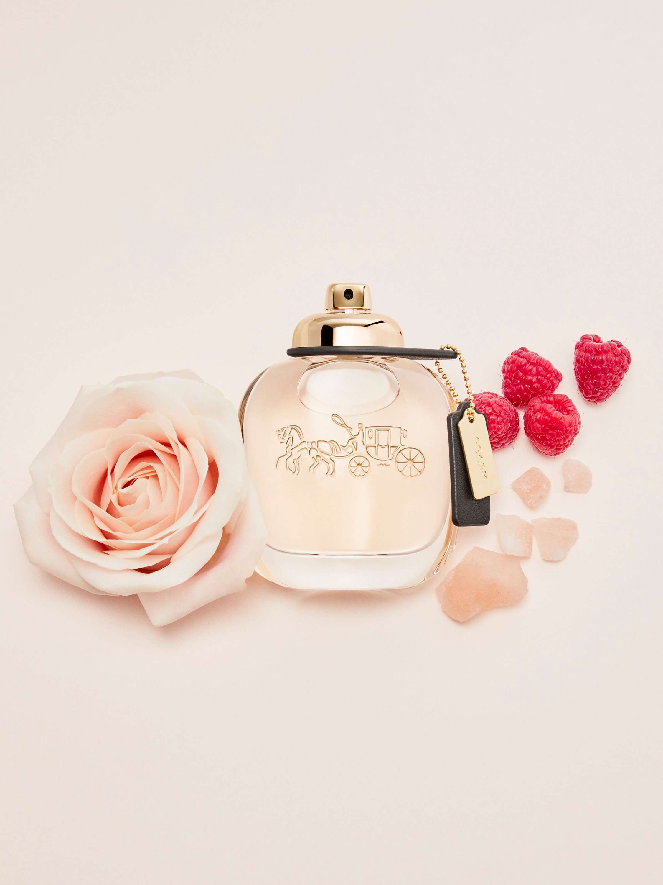 The Fragrance Eau de Parfum
