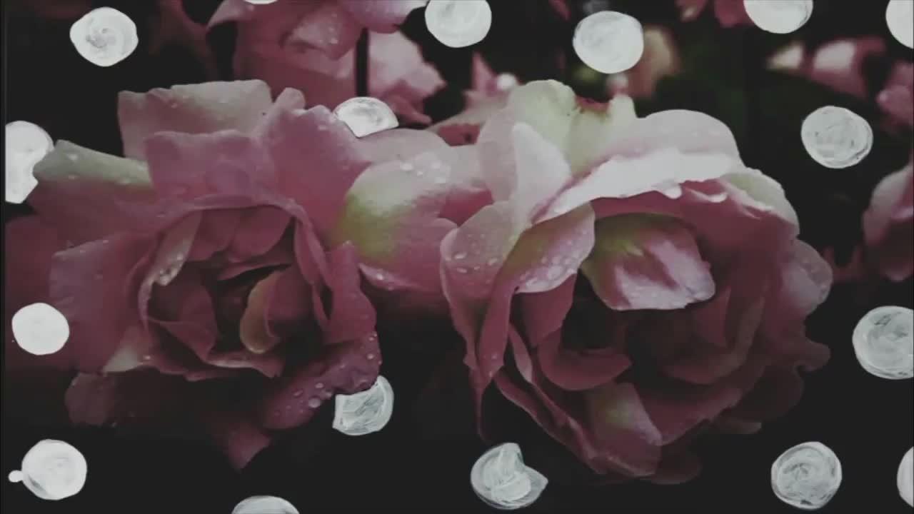 Izia Eau de Parfum