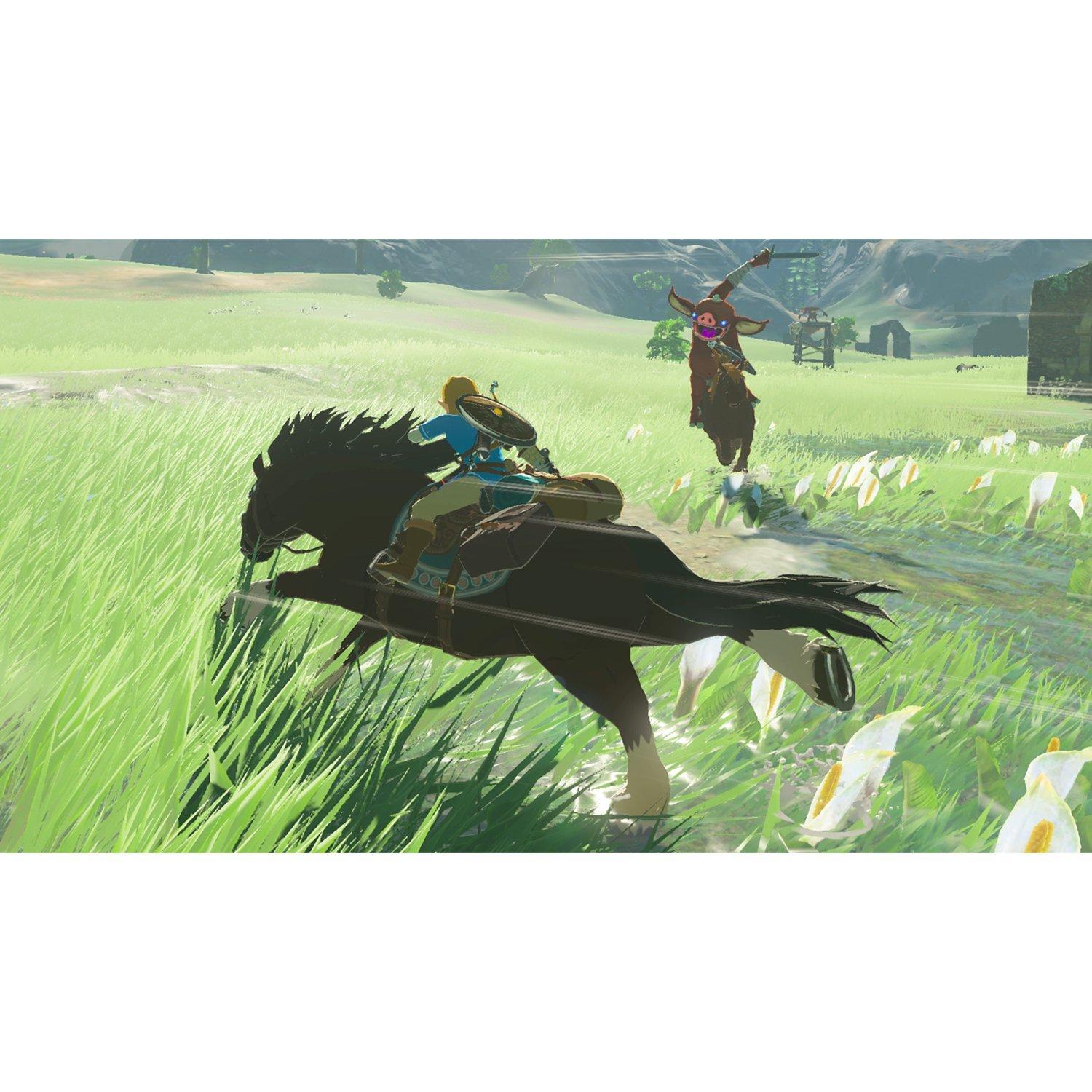 The Legend of Zelda: Breath of the Wild, Switch
