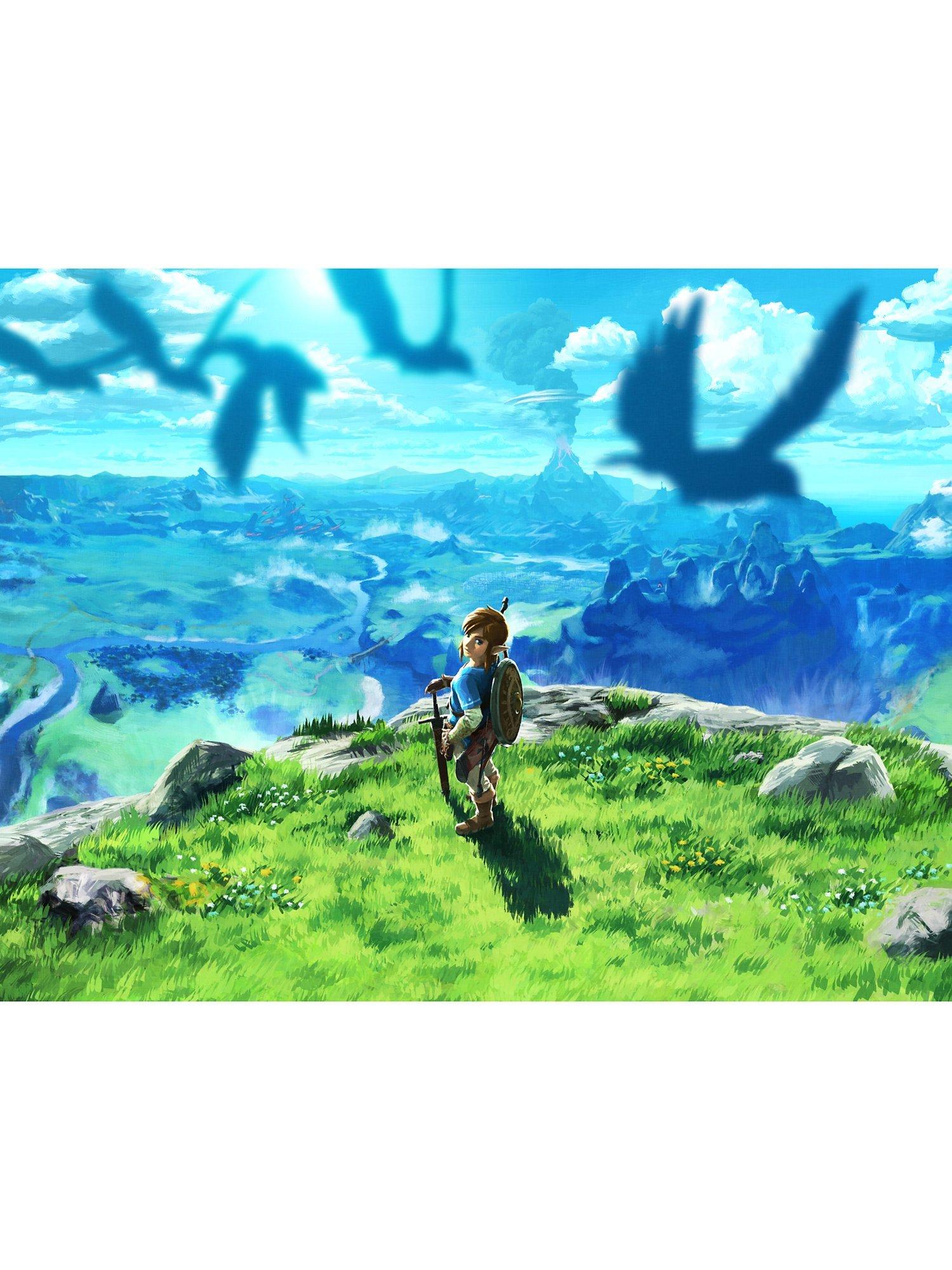 The Legend of Zelda: Breath of the Wild, Switch