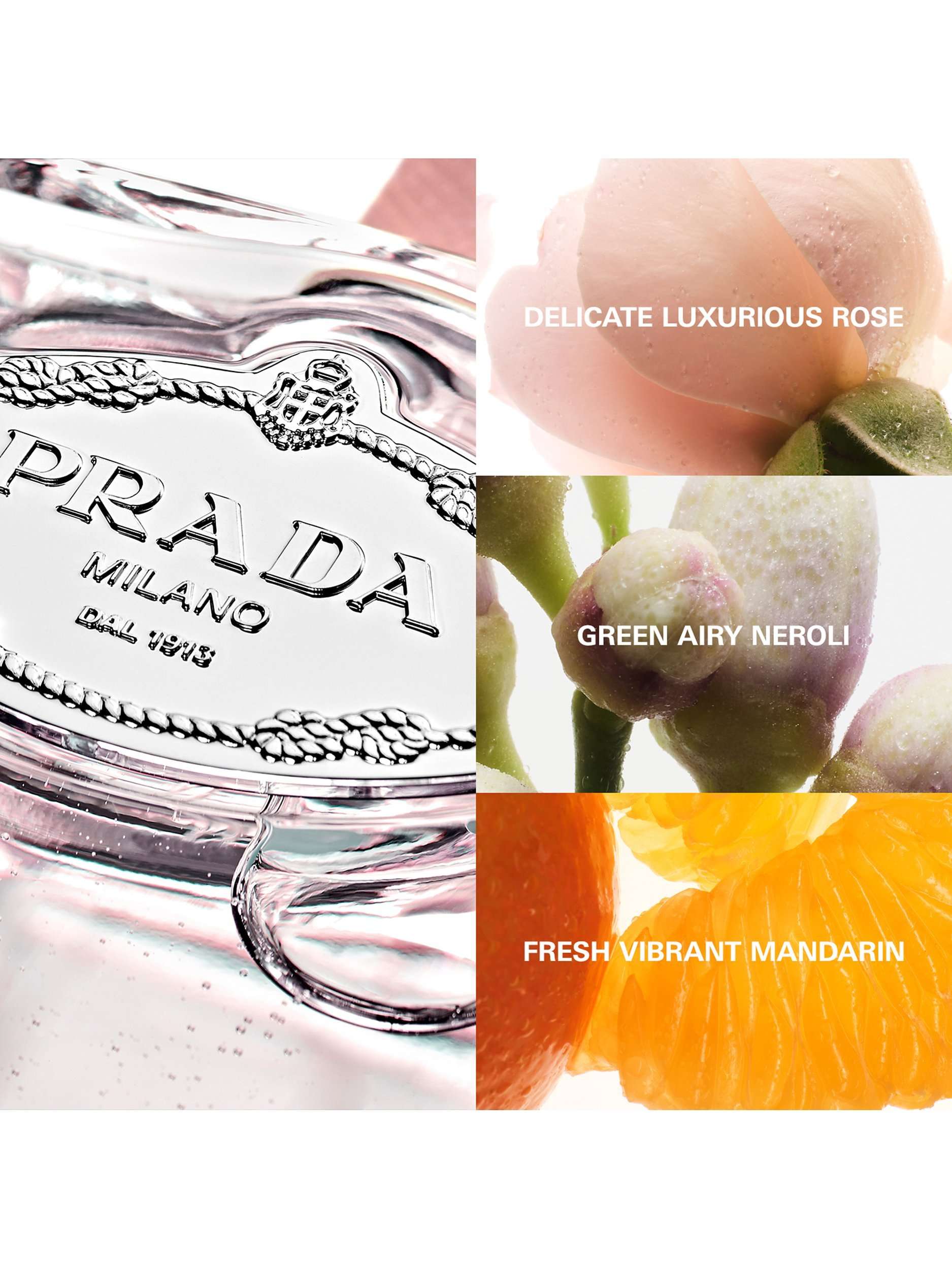 Les Infusions de Prada Rose Eau de Parfum, 100ml