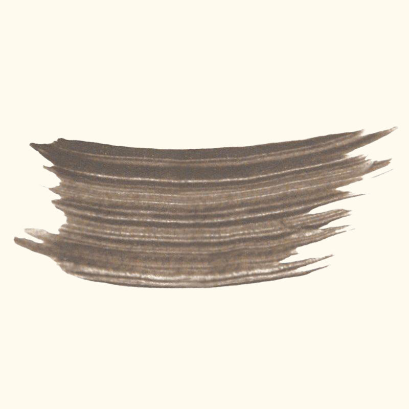 Phyto-Sourcils Fix Eyebrow Makeup