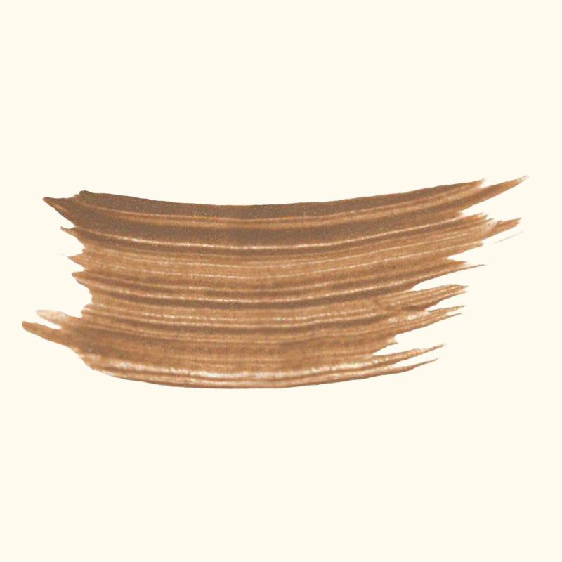 Phyto-Sourcils Fix Eyebrow Makeup