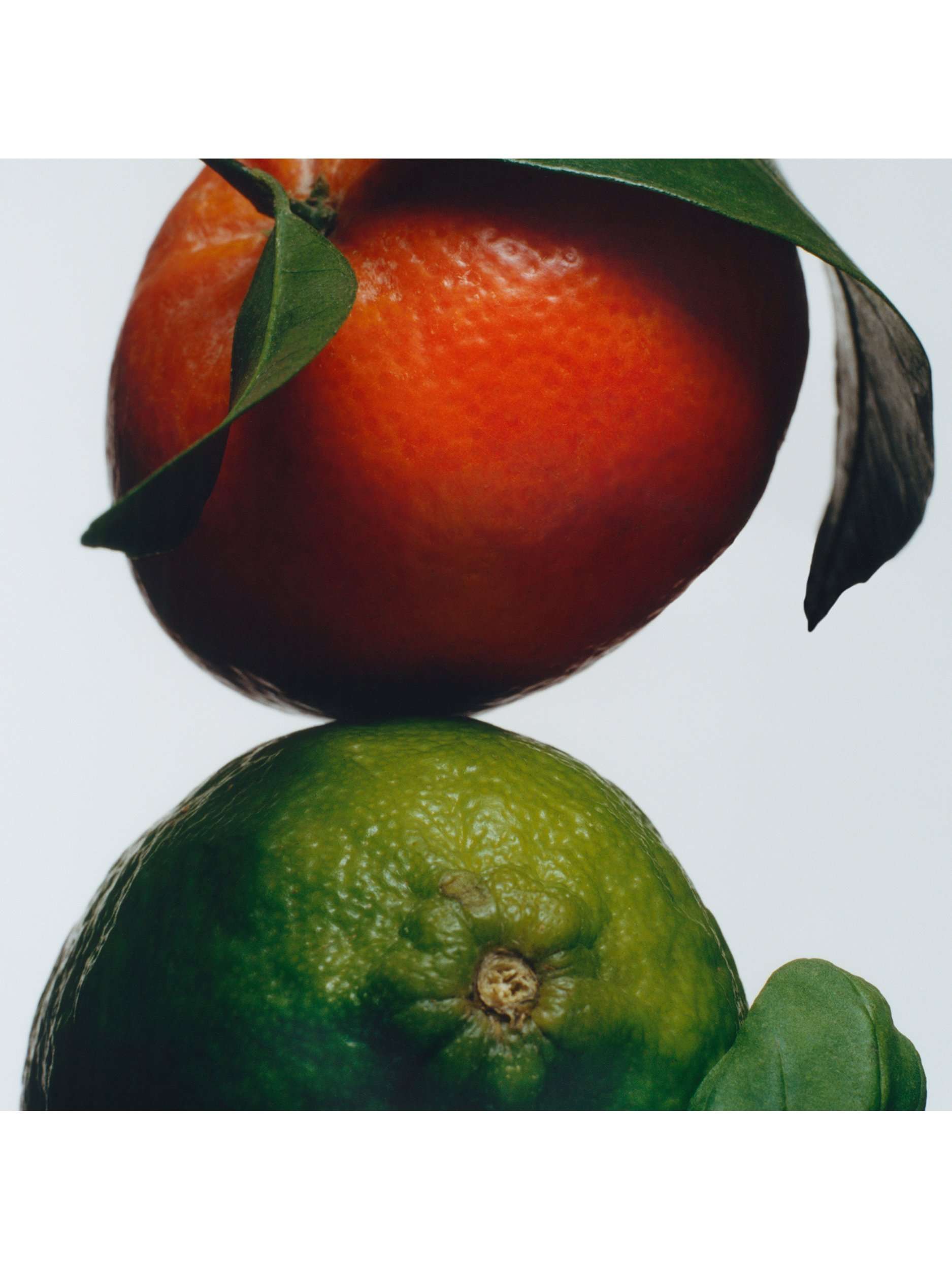 Lime Basil & Mandarin Body Crème