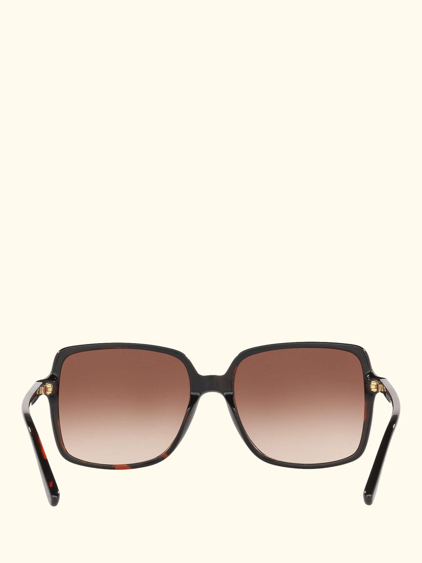MK2098U Women's Isle of Palms Square Sunglasses, Tortoise/Brown Gradient