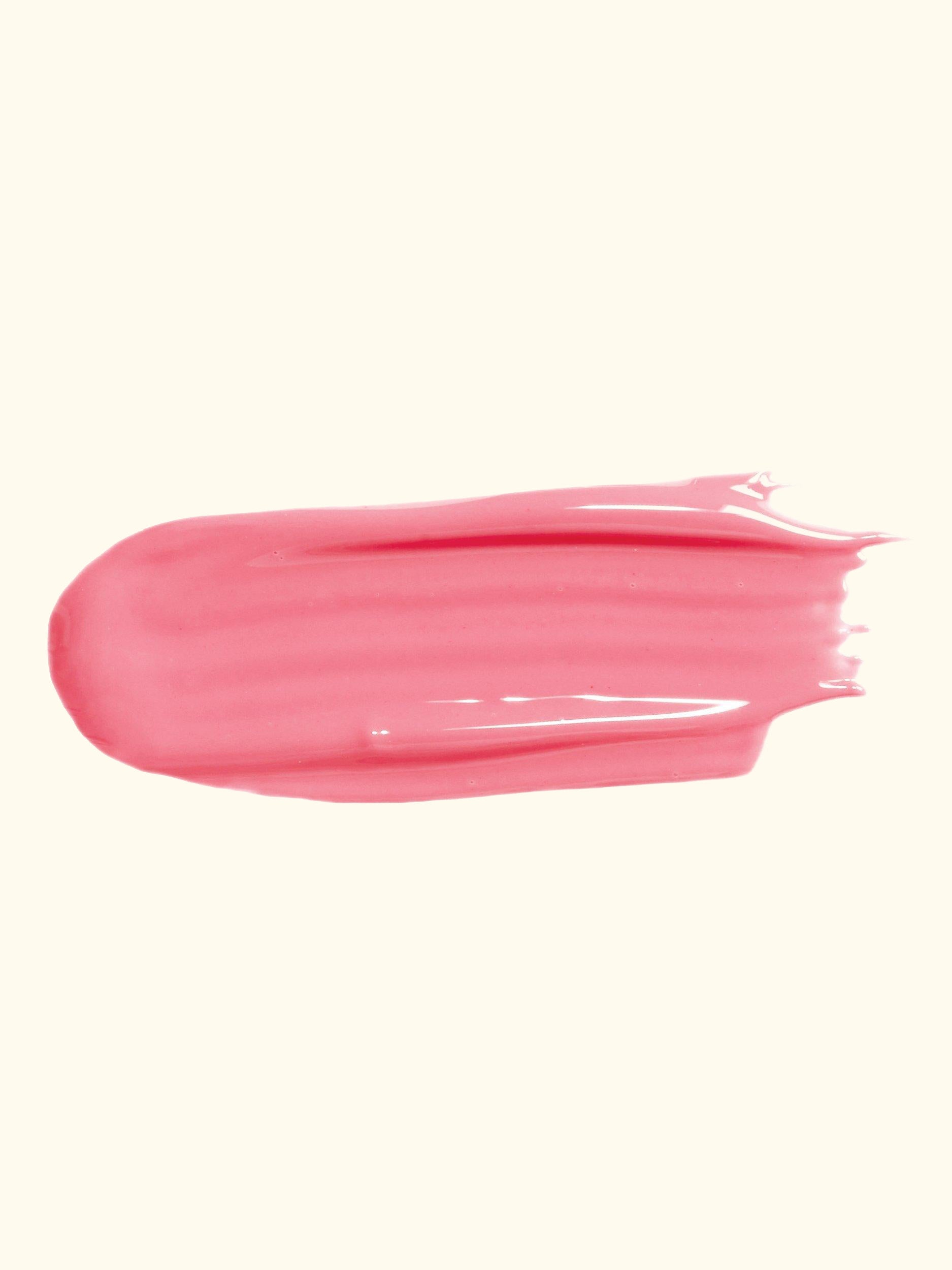 Le Phyto-Gloss Lipgloss
