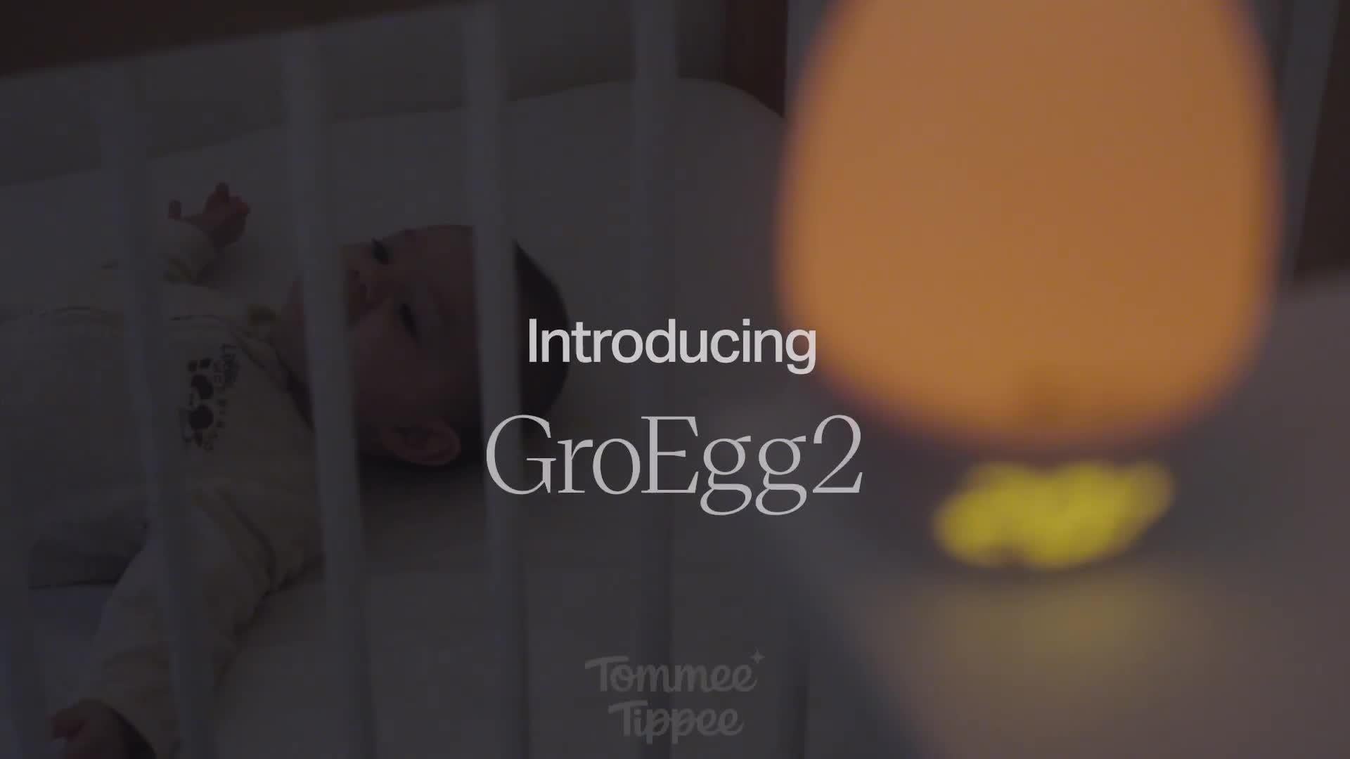 GroEgg2 Digital Room Thermometer