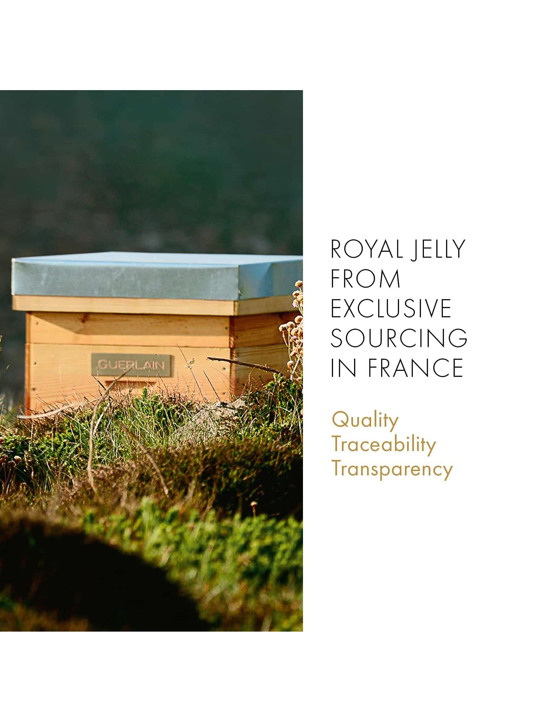 Abeille Royale Fortifying Lotion with Royal Jelly