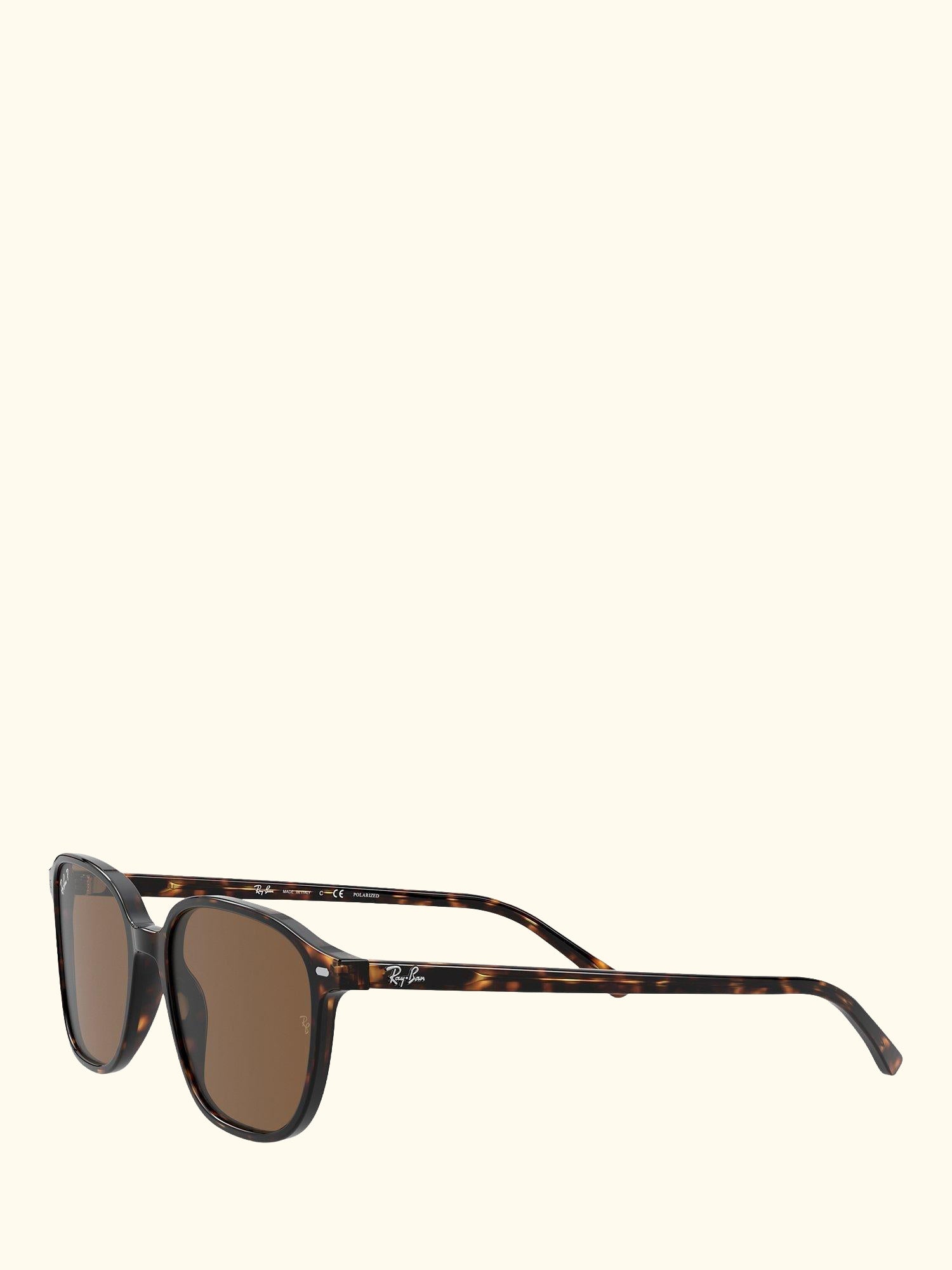 RB2193 Unisex Polarised Square Sunglasses