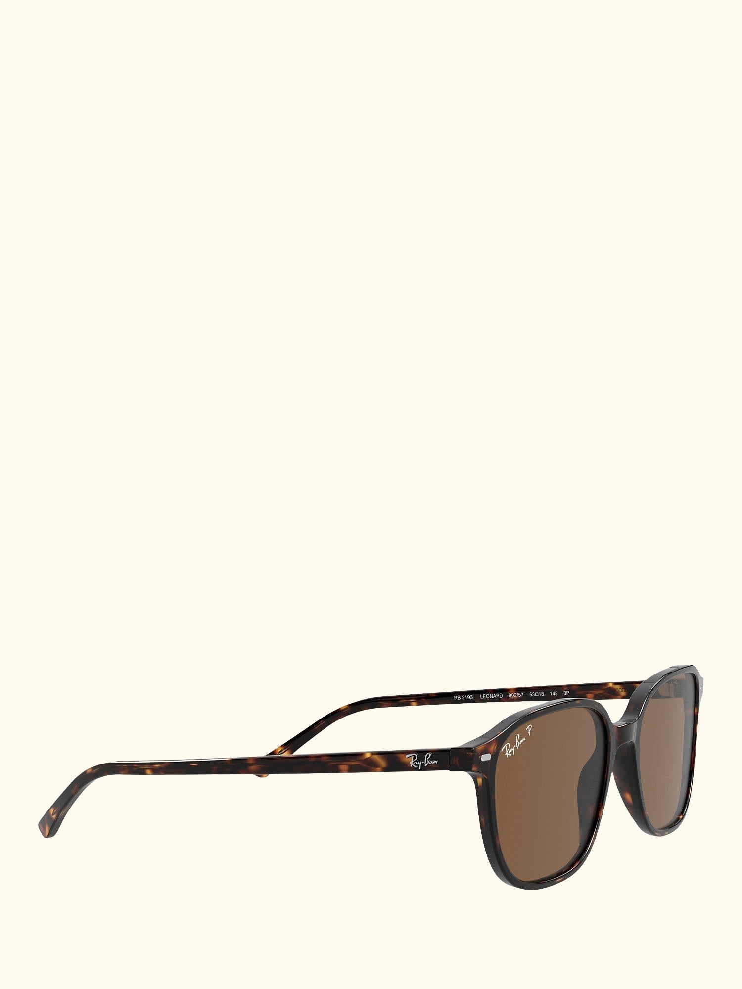 RB2193 Unisex Polarised Square Sunglasses