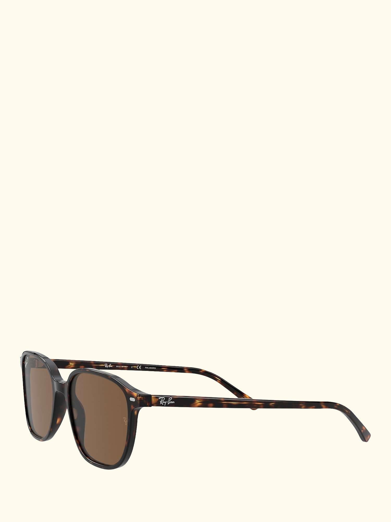 RB2193 Unisex Polarised Square Sunglasses