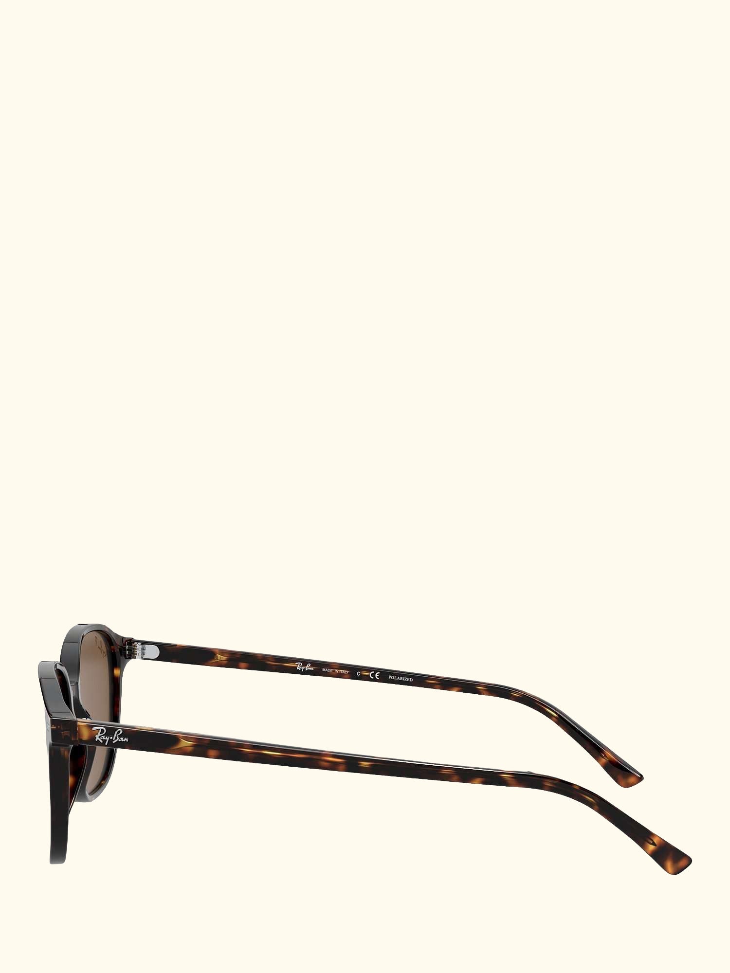 RB2193 Unisex Polarised Square Sunglasses
